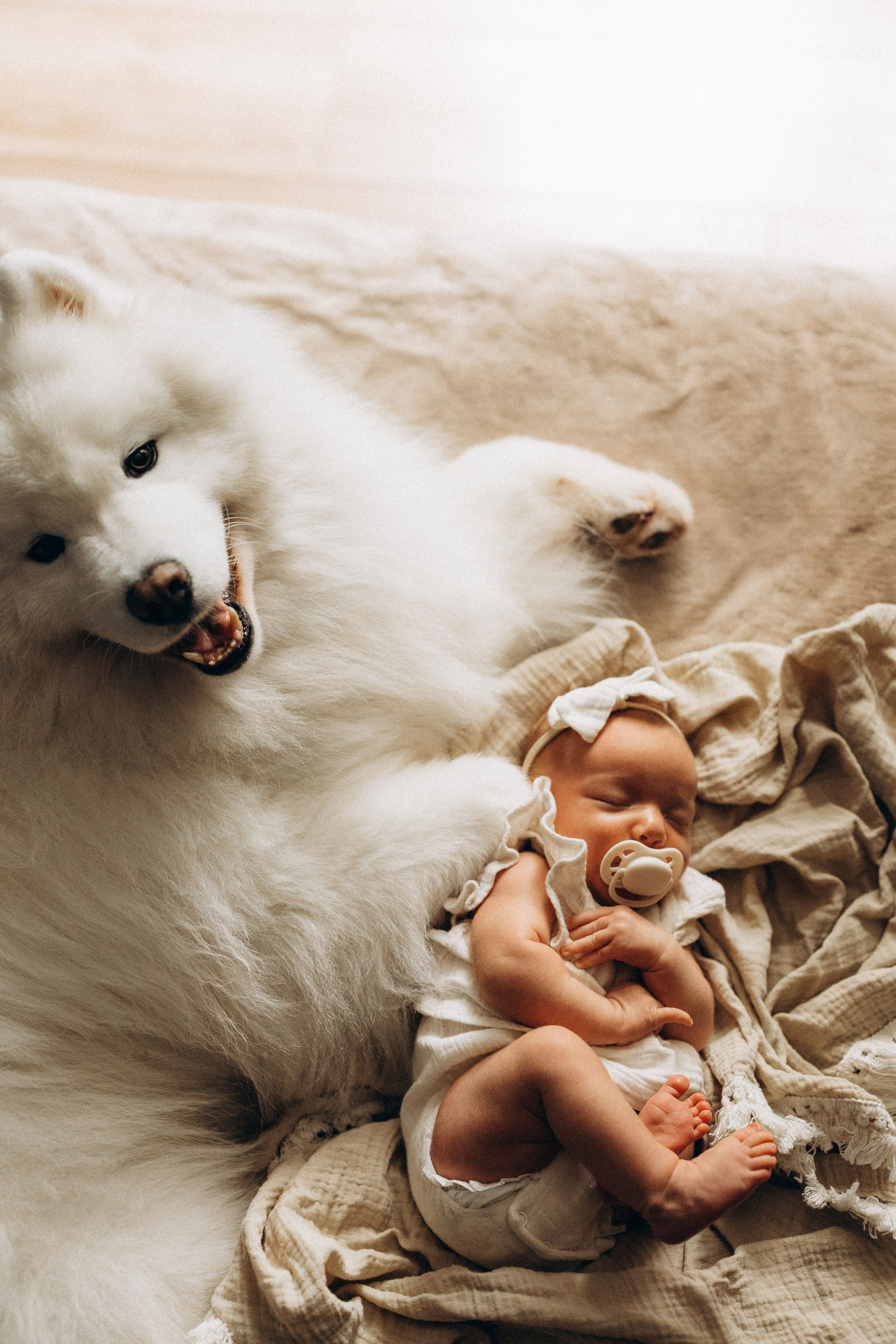 Василиса. Евгения Пелипас