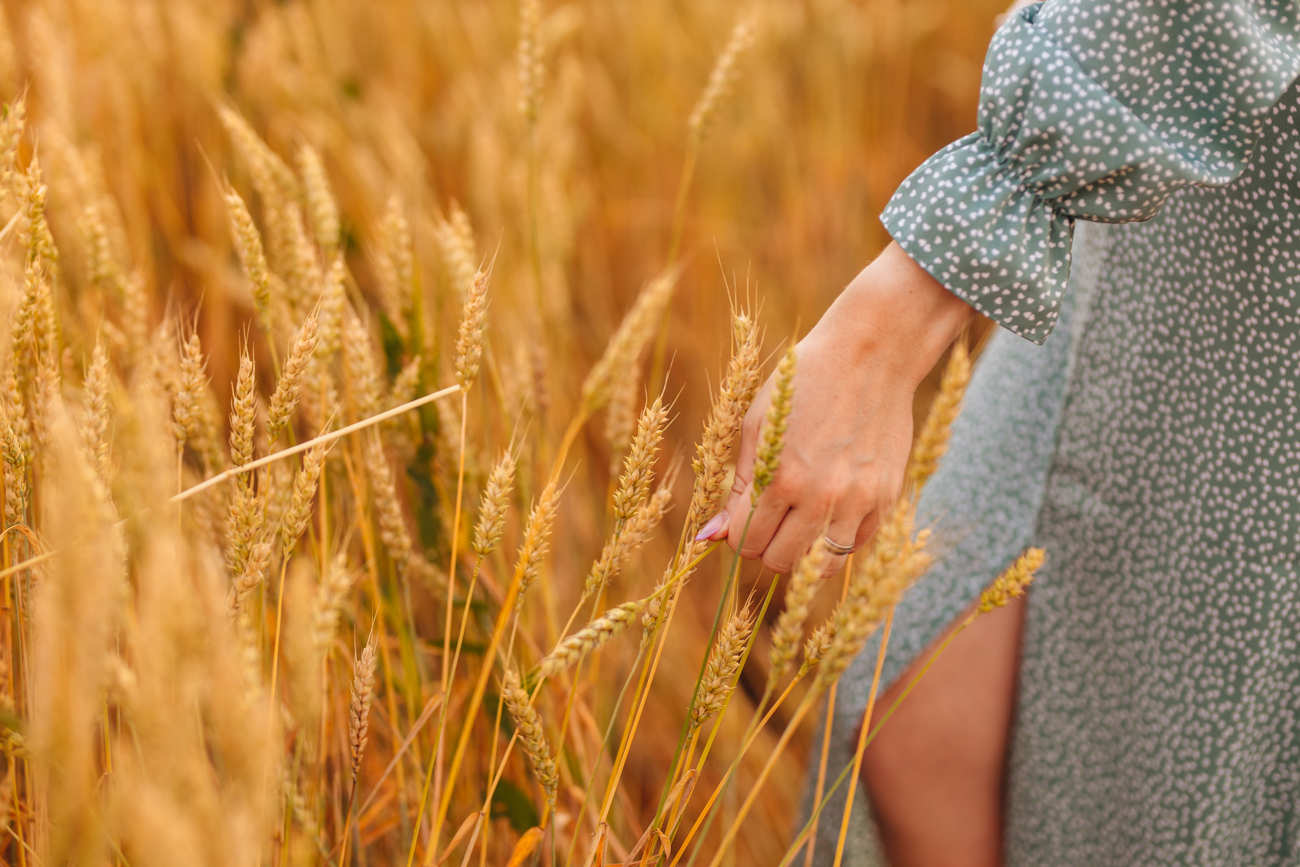 Мои любимые Родионовы. Свадебный и семейный фотограф в Туле и области Маша Костина