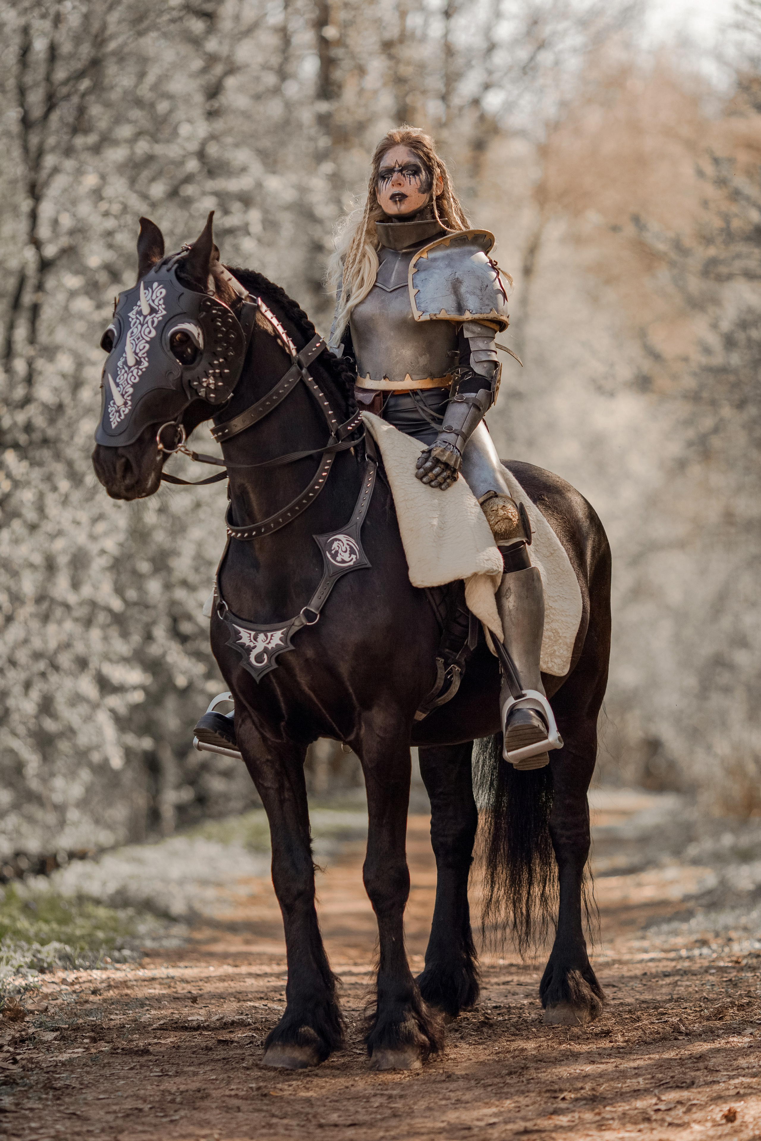 Фотосессия в рыцарских доспехах с лошадью