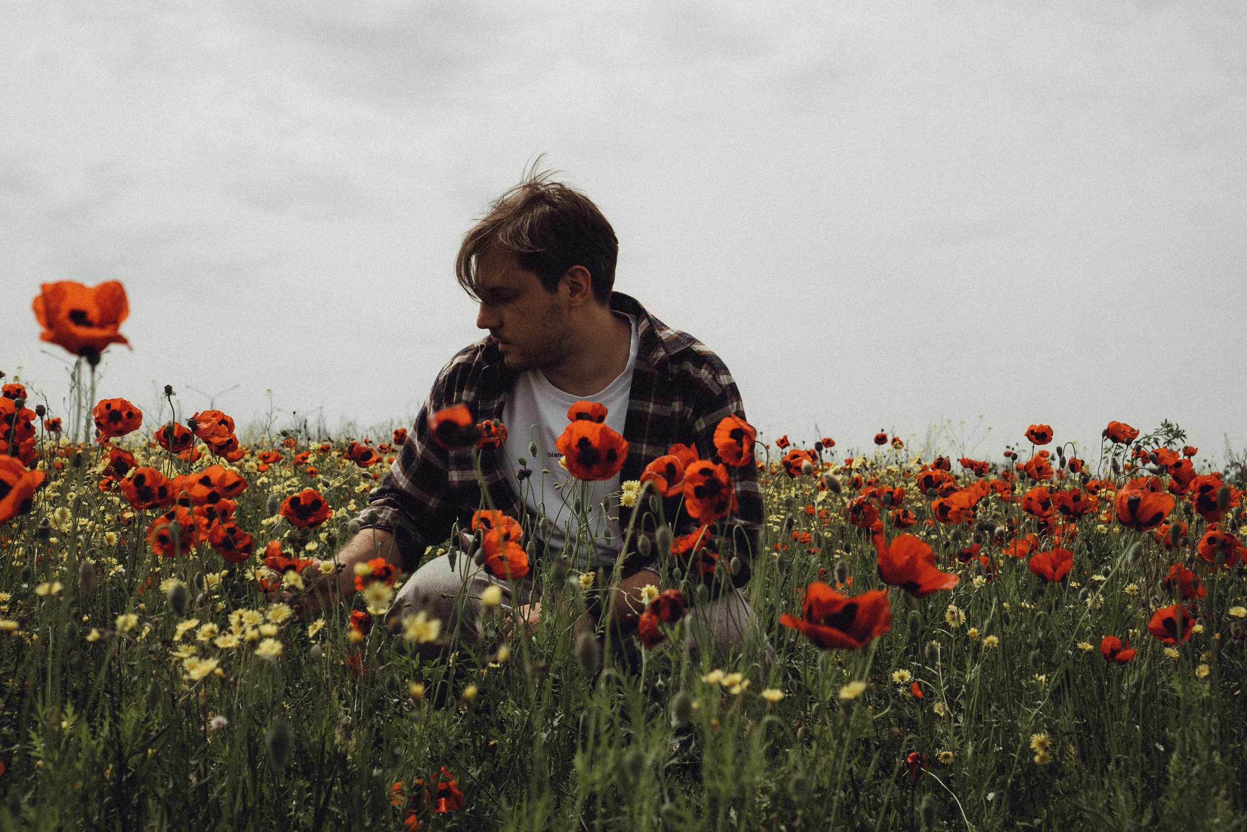 Маки. Профессиональный фотограф, Санкт-Петербург — Виктория Богомолова