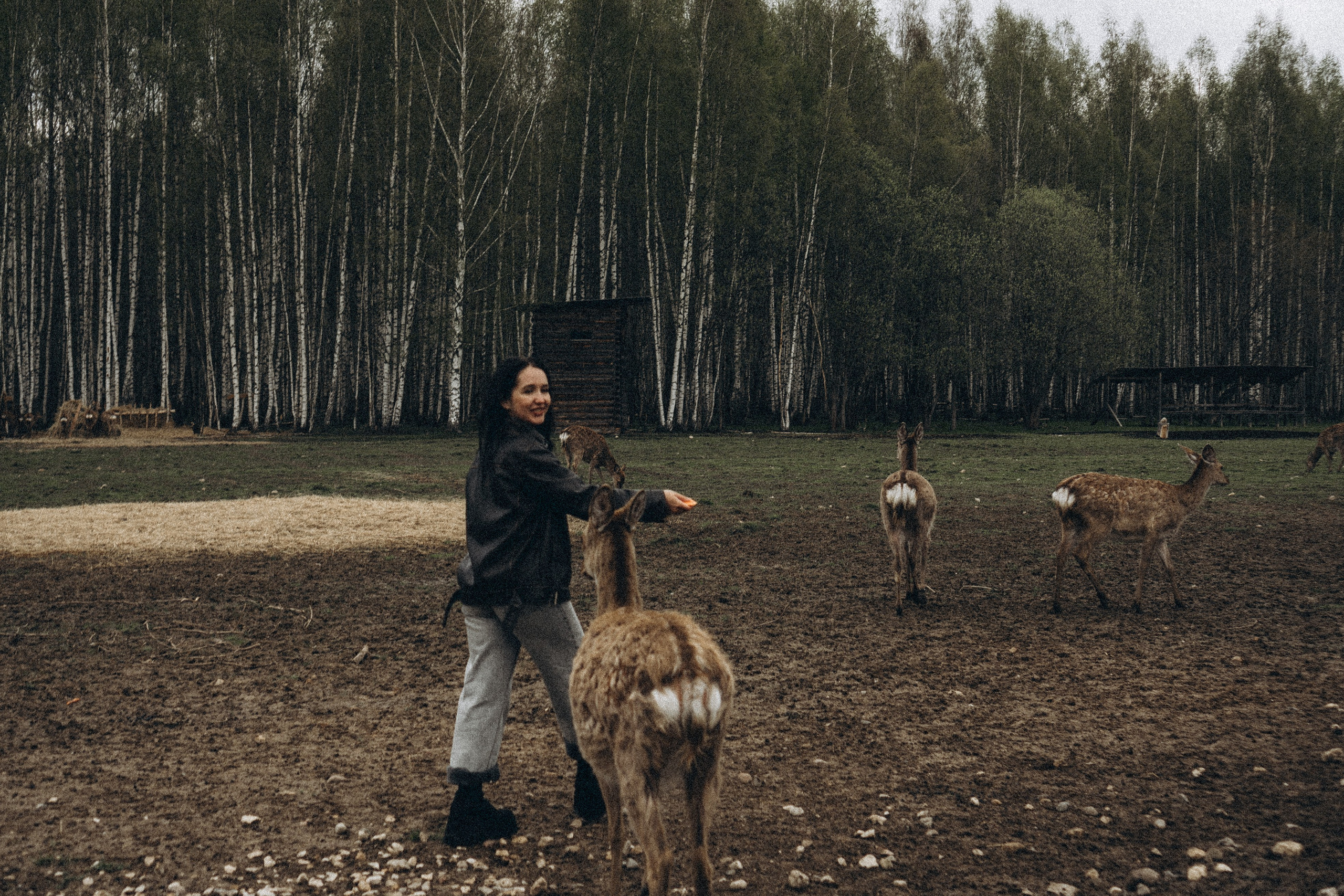ОЛЕНЬЯ ФЕРМА В ТВЕРИ. Профессиональный фотограф, Санкт-Петербург — Виктория Богомолова