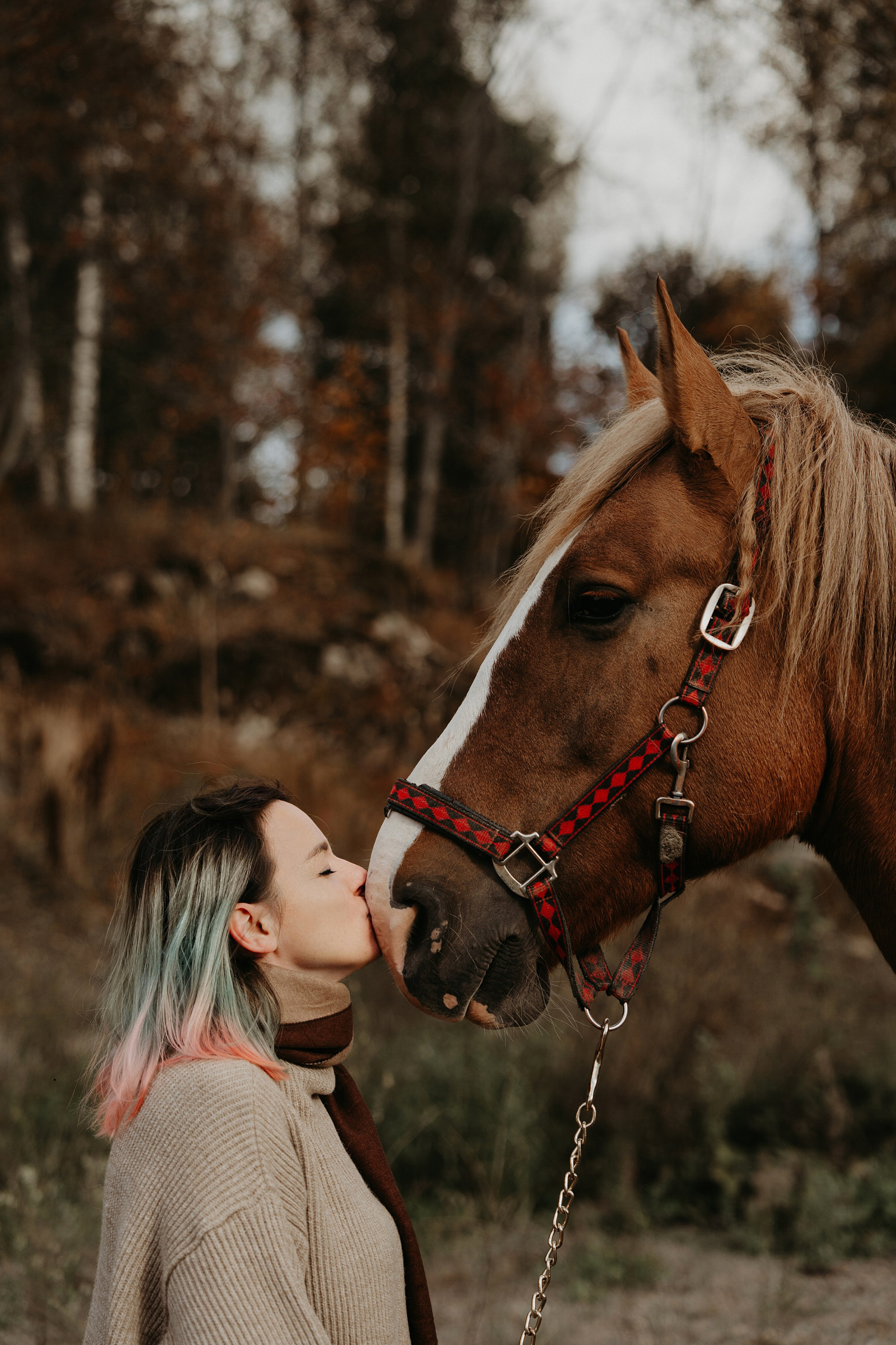 Конные. Главная