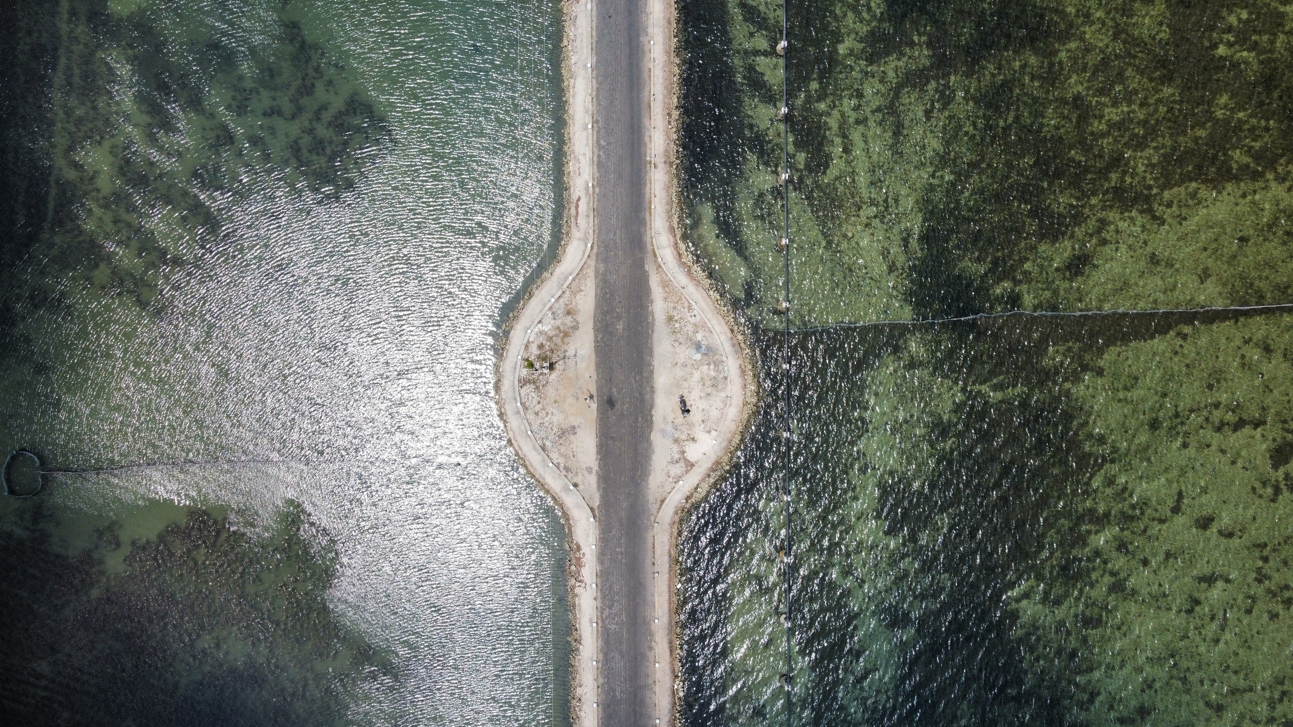 Промо. Filmmaker Vadim Averin