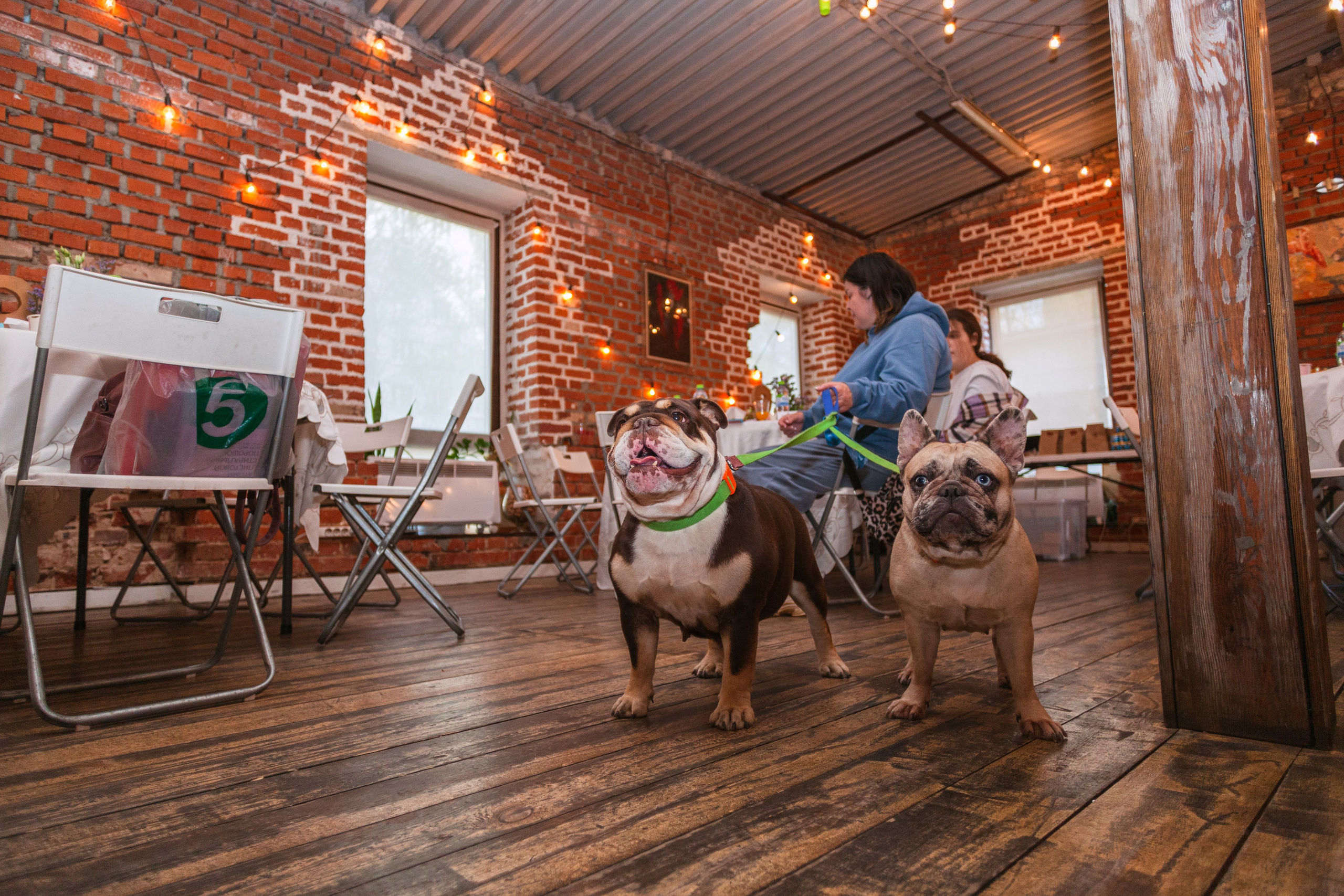 Бульбалл 23.04.2023. Фотограф-анималист Татьяна Степанова