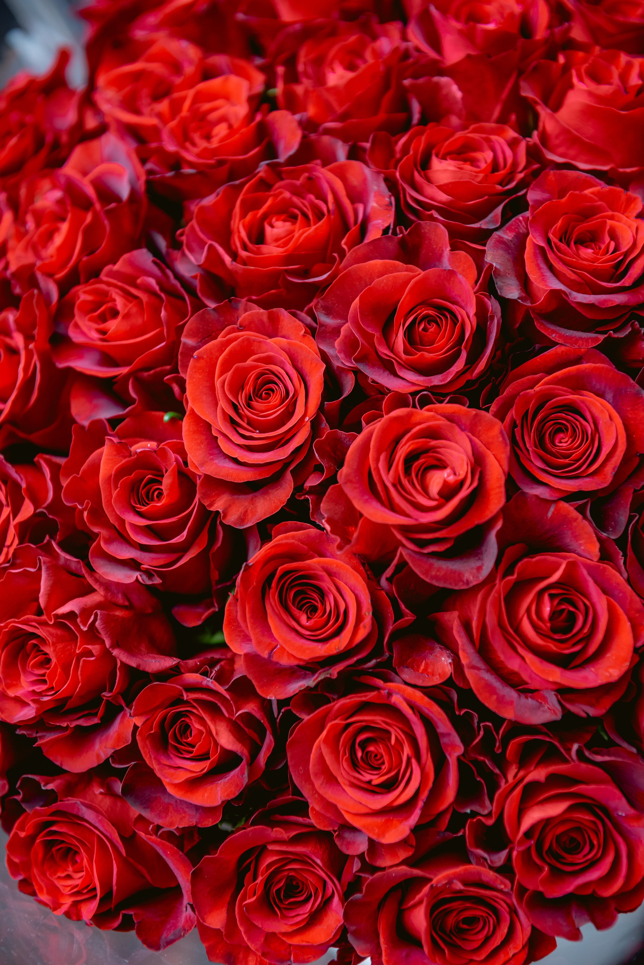 День Рождения Александра 🎁. Станислав Тюрин Фотограф Москва. Индивидуальные и семейные фотосессии;