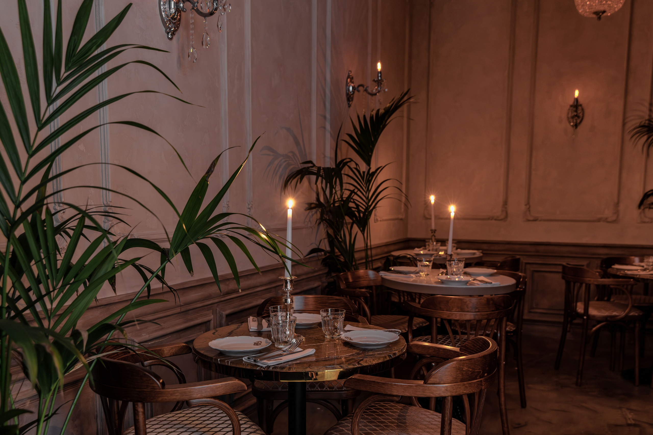 Медведь. Репортажный фотограф в Санкт-Петербурге Жолудев Владислав