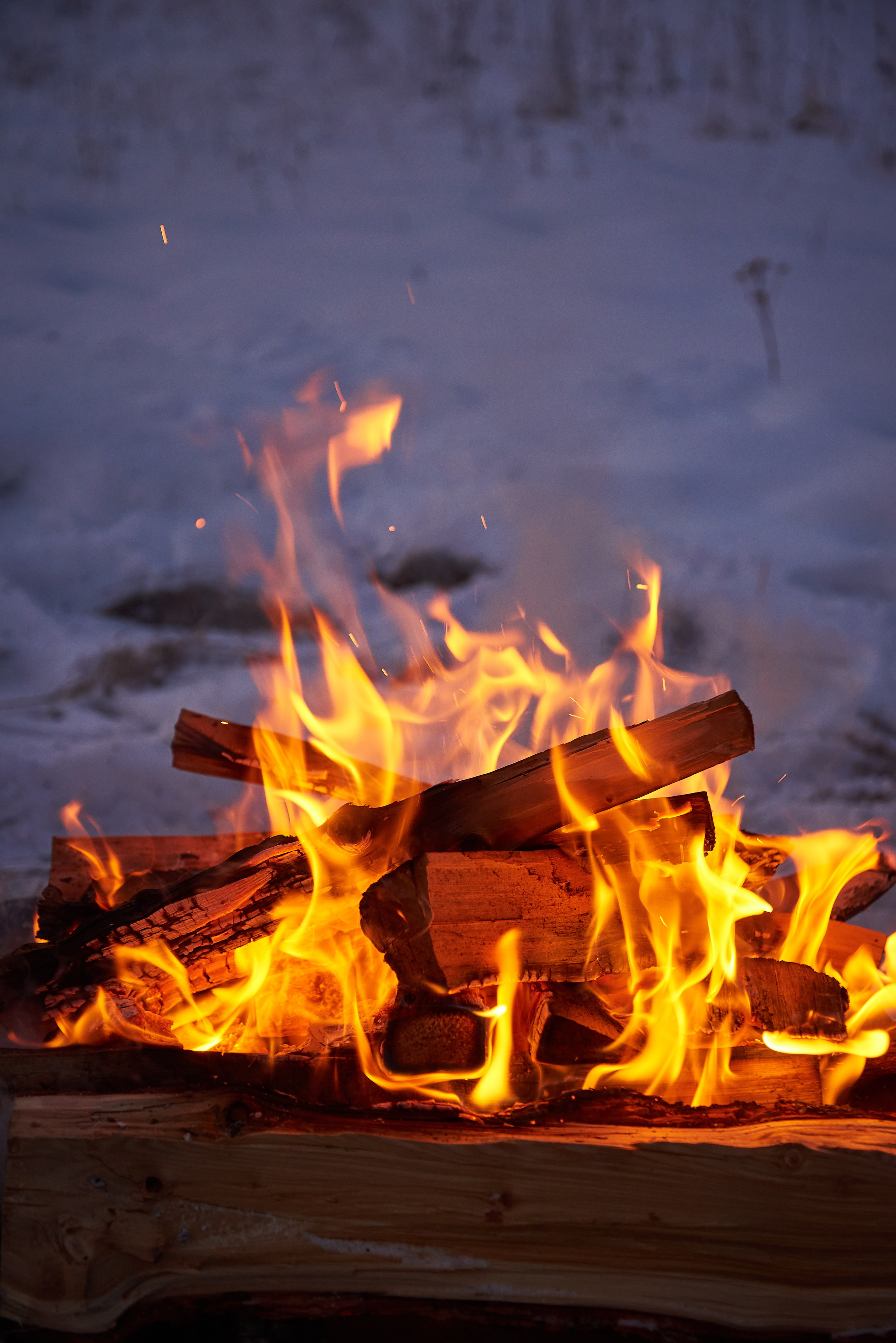 Сны Алтая. Семейный фотограф в Барнаул/Горный Алтай, Аренда дома в горах