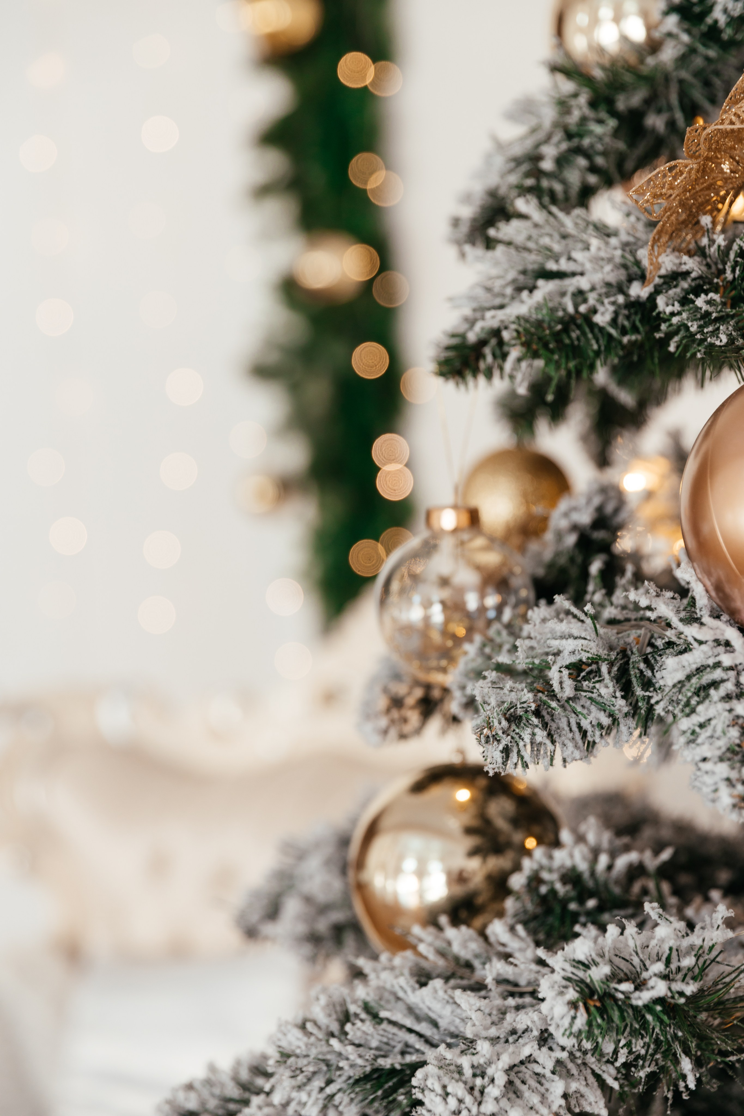 Валерия. Семейный фотограф в Чите Татьяна Фирсова