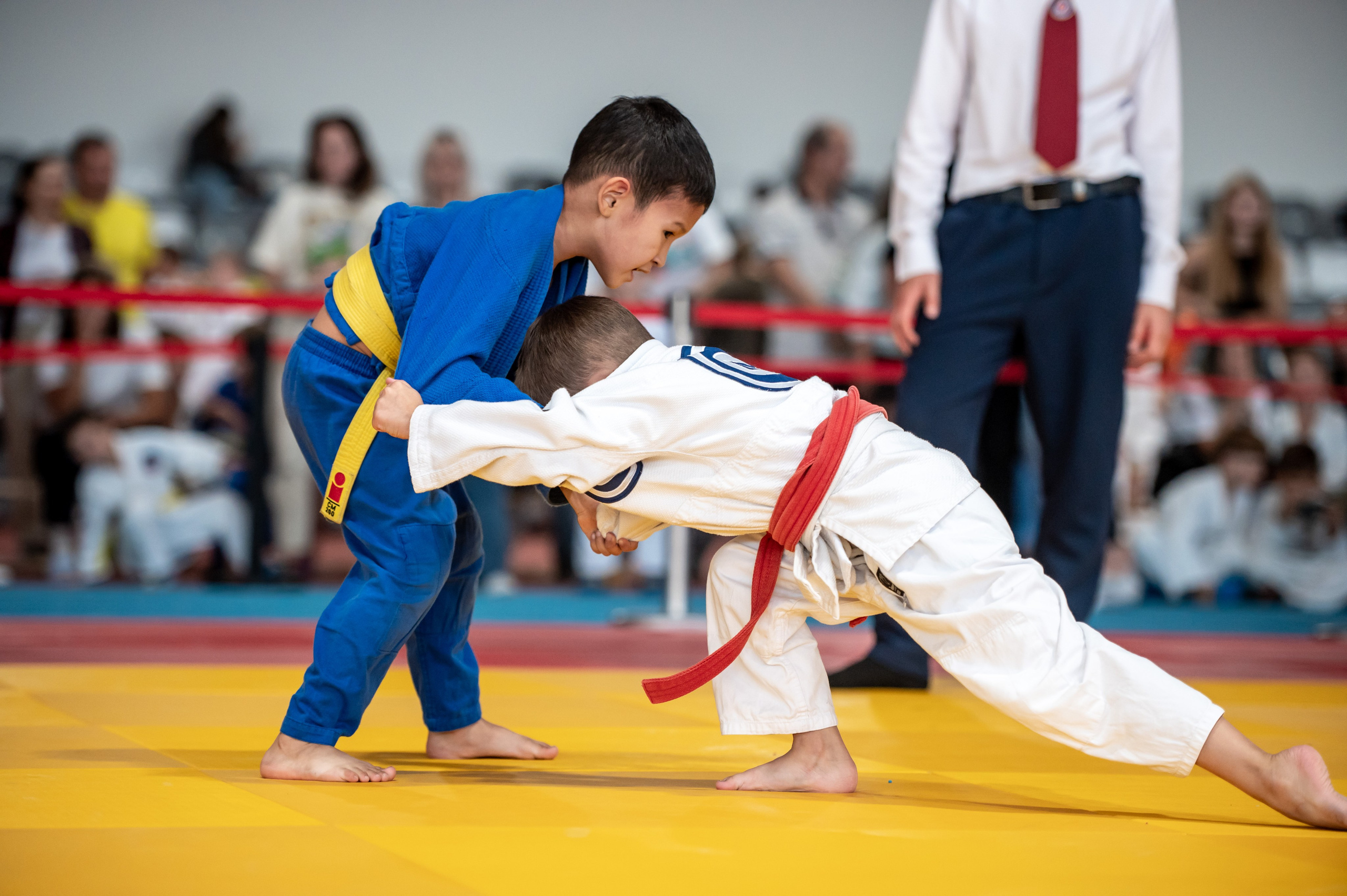 Турнир по дзюдо «Тульский левша», сентябрь 2024. Спортивный фотограф в Туле и Тульской области. Файсханова Фото Спорт