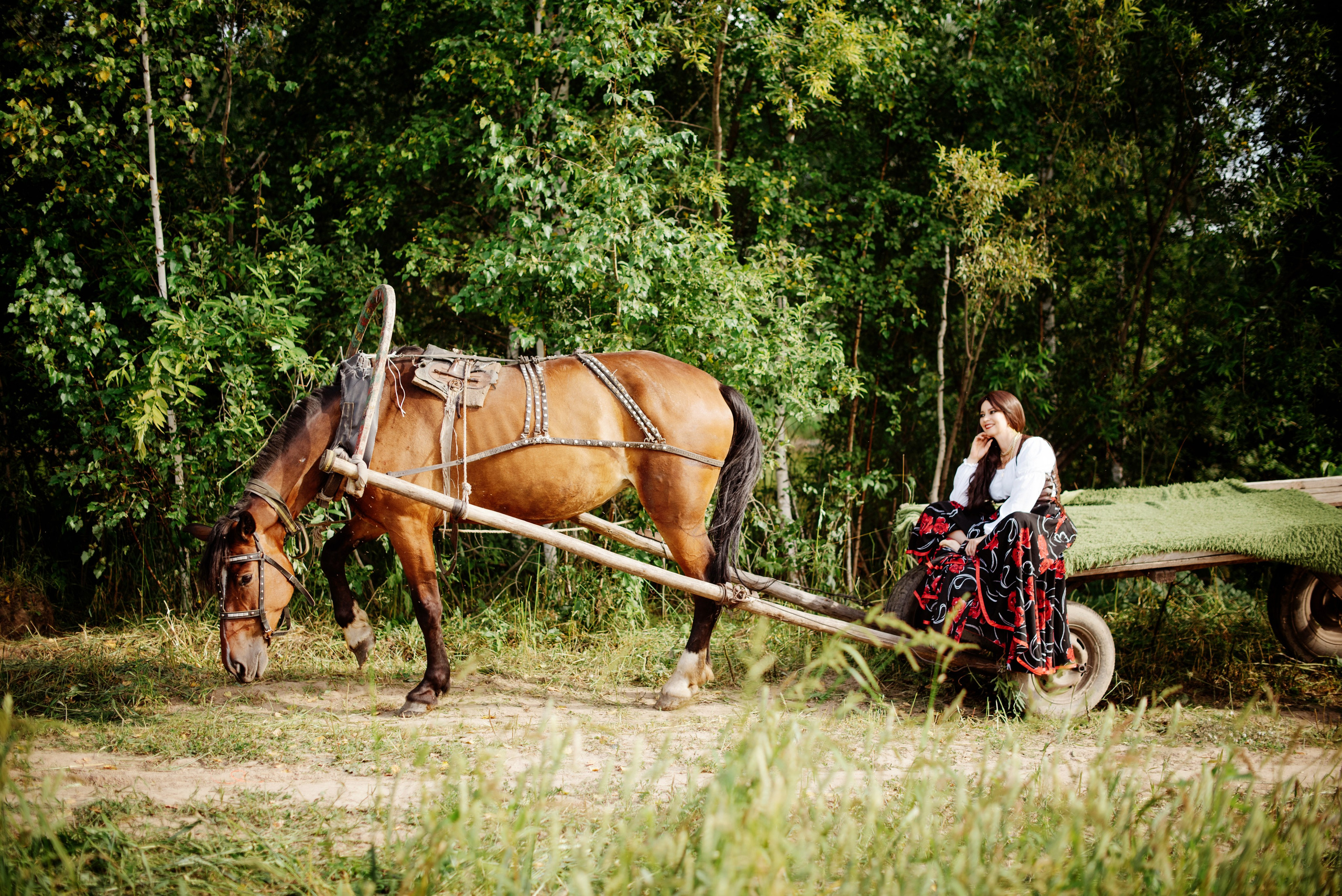 Проект ЦЫГАНКА. ФОТОПРОЕКТЫ