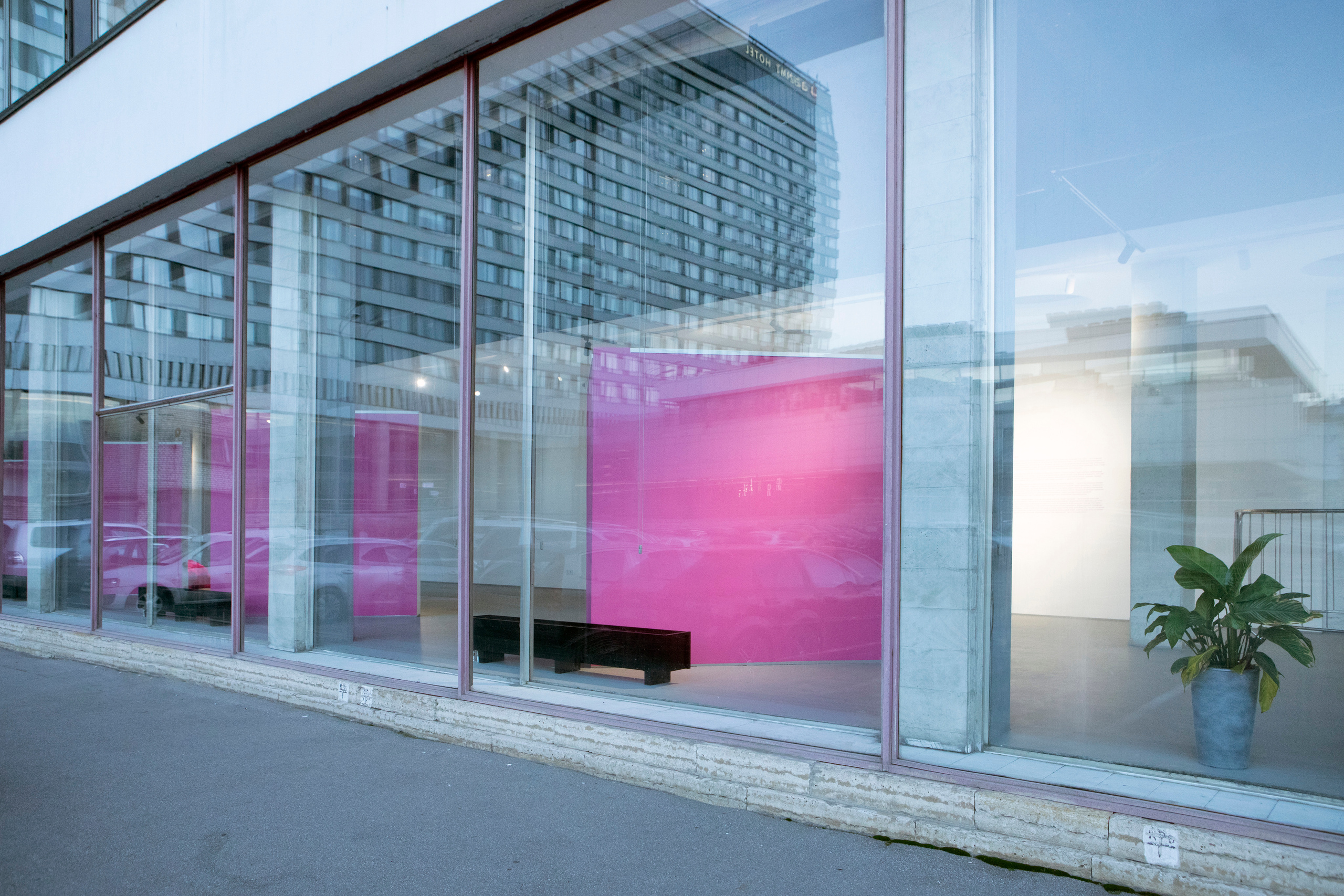 Я надеваю свои розовые очки чтобы увидеть мир в чёрном цвете. Илья Крончев-Иванов