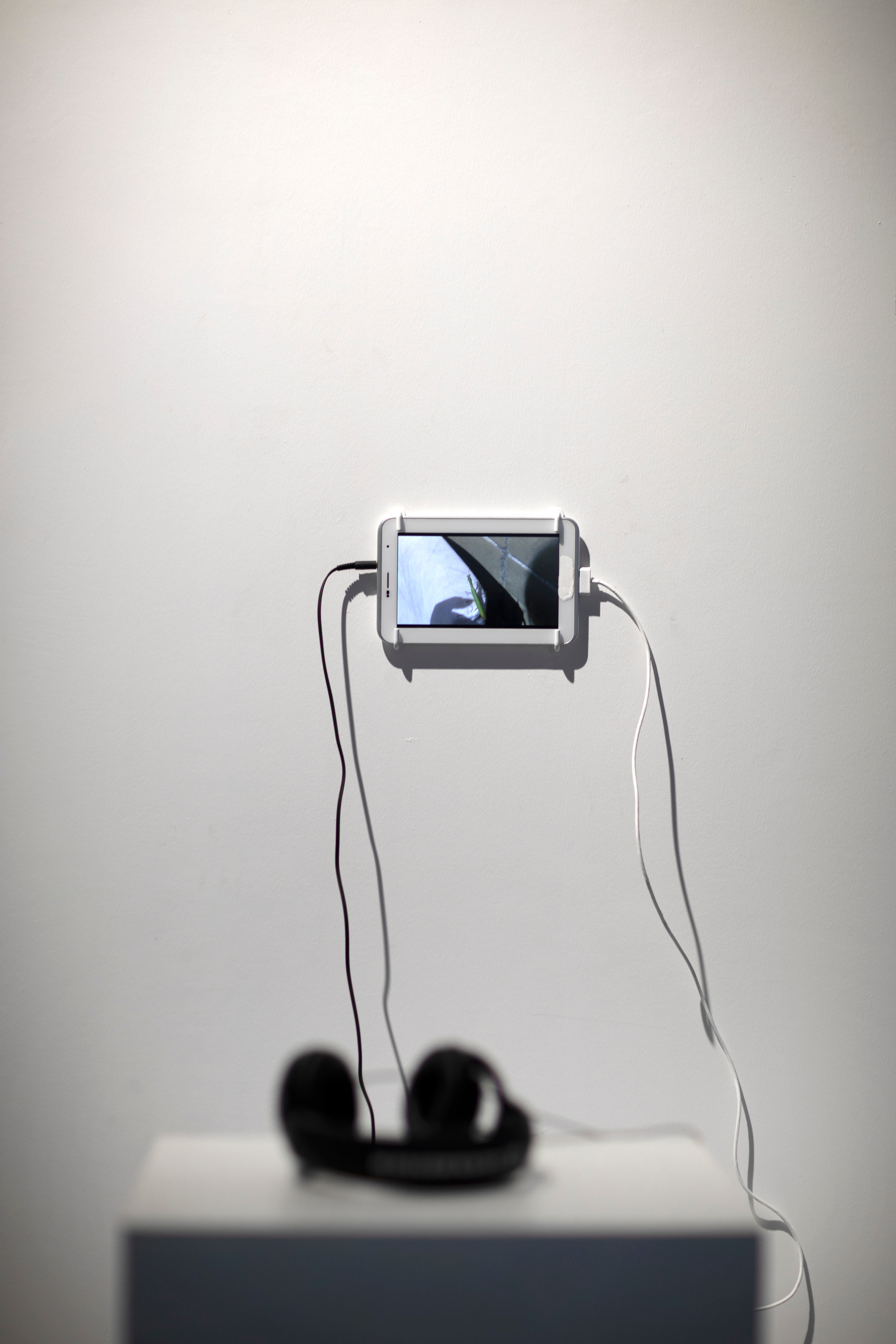 Я надеваю свои розовые очки чтобы увидеть мир в чёрном цвете. Илья Крончев-Иванов