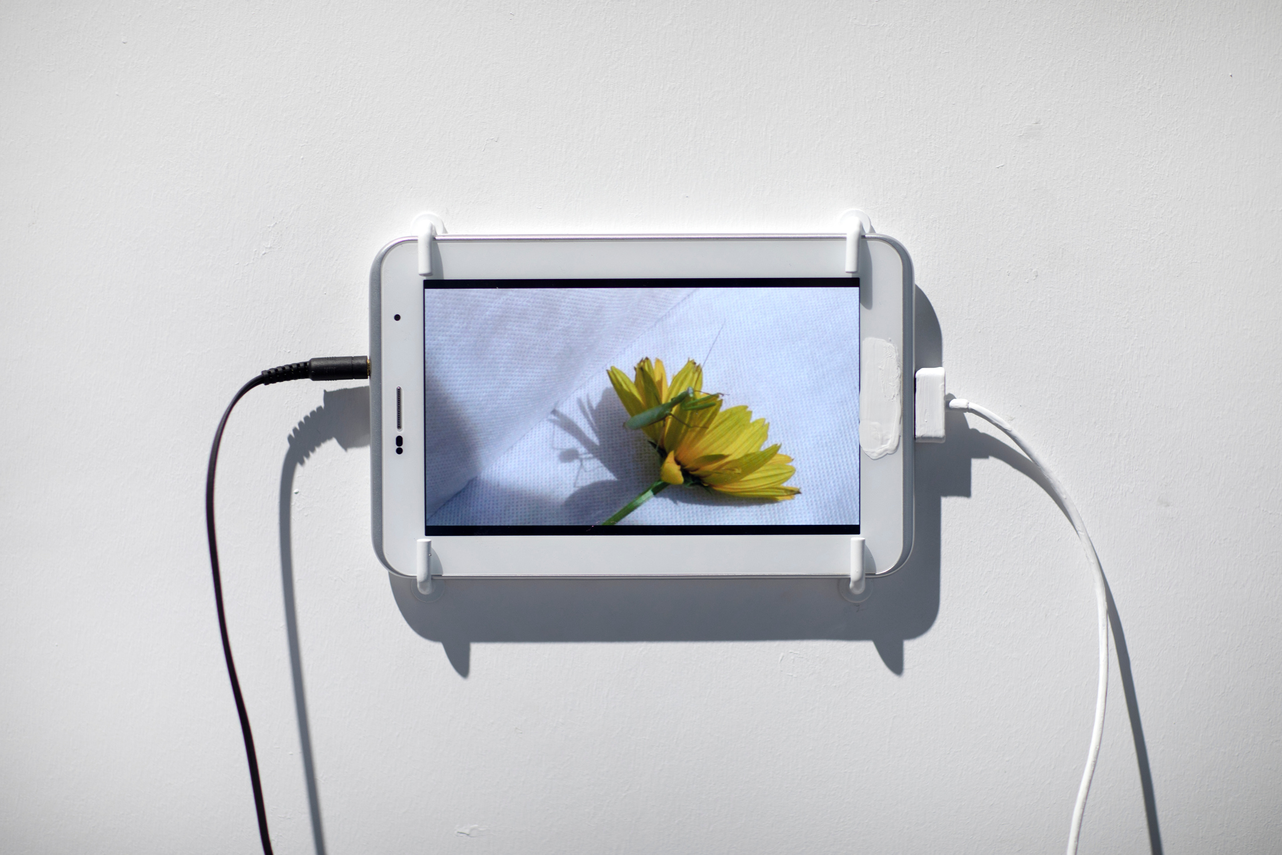 Я надеваю свои розовые очки чтобы увидеть мир в чёрном цвете. Илья Крончев-Иванов