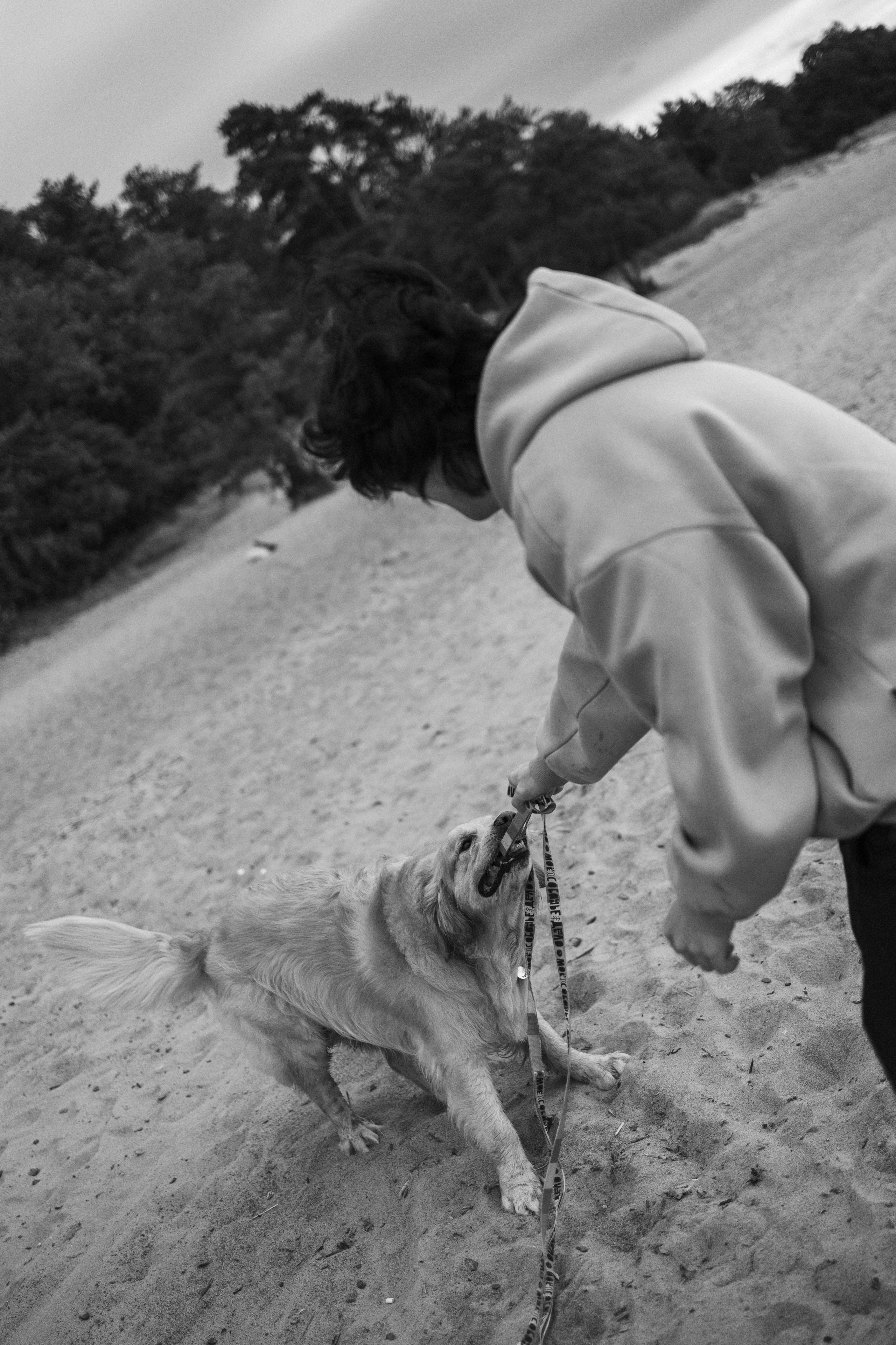 Фоси и его семьи. Фотограф — Анималист | Санкт-Петербург