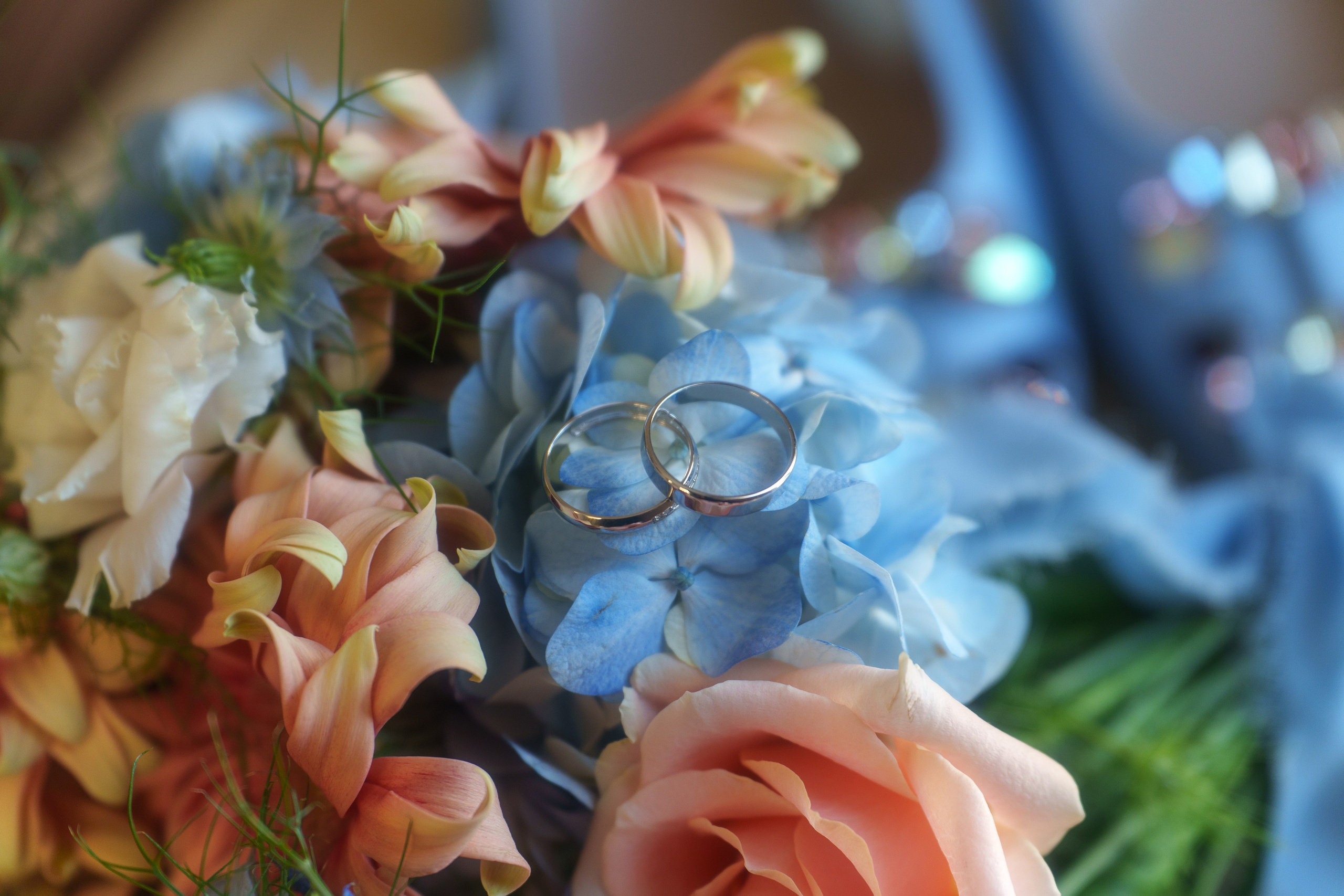 Андрей + Екатерина