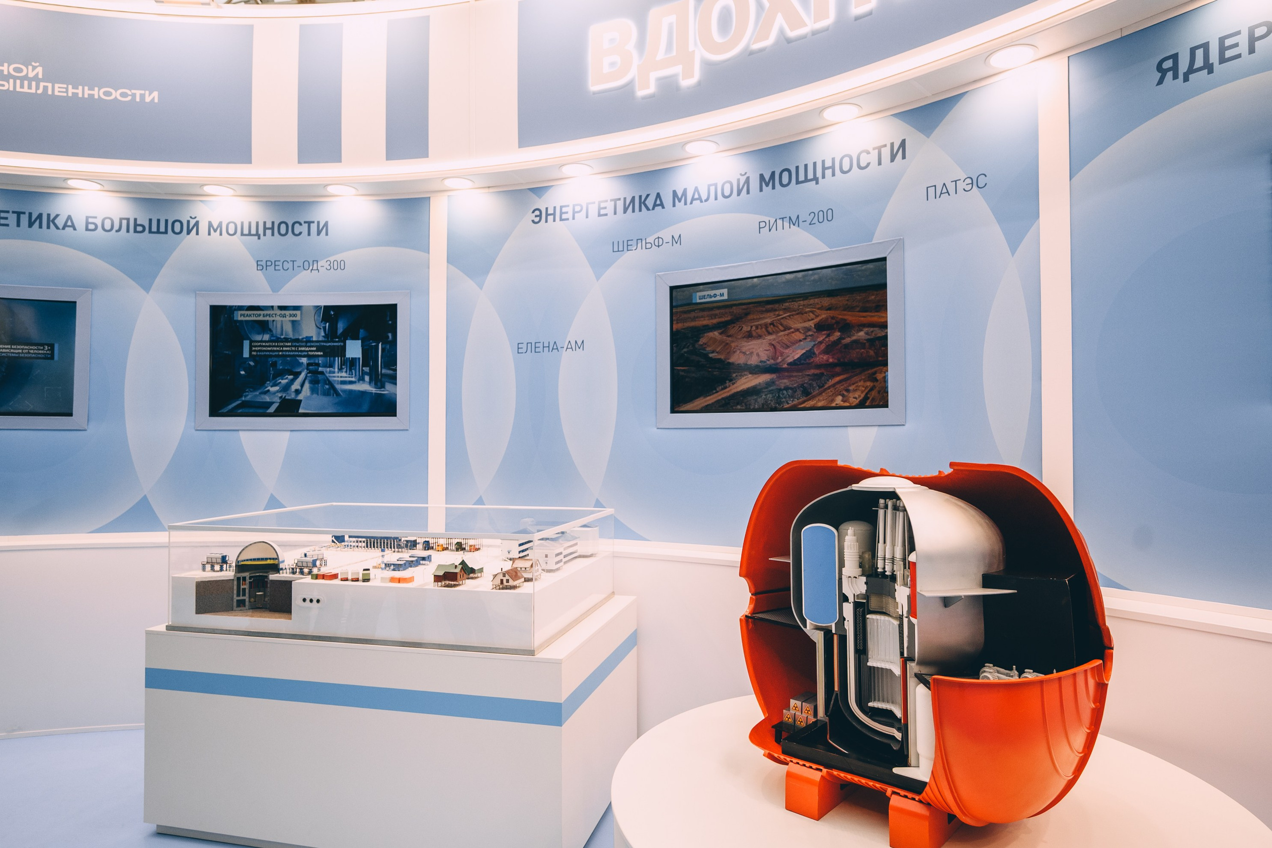 V Конгресс молодых ученых 2025. Свадебный и семейный фотограф София Невская