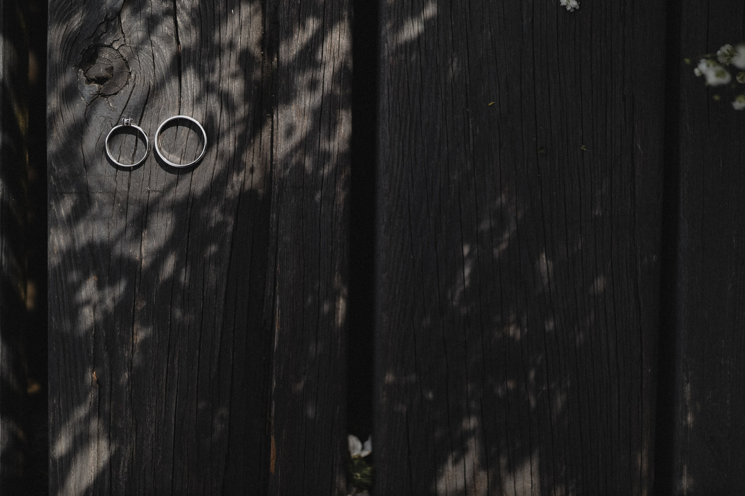 Мурашки. Свадебный фотограф Минск