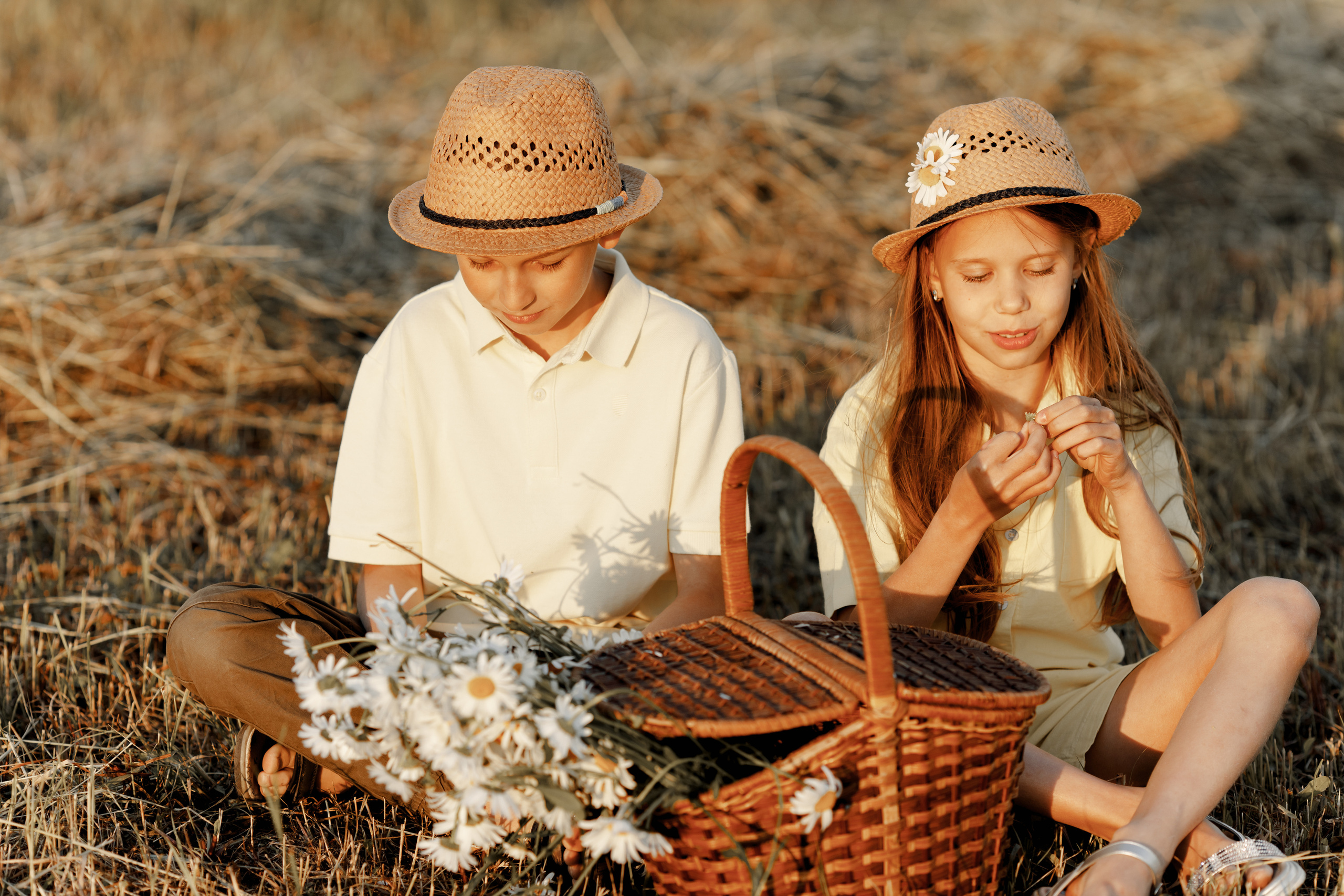 Поле закат лето. Свадебный и семейный фотограф  во Владивостоке Ольга Украинец