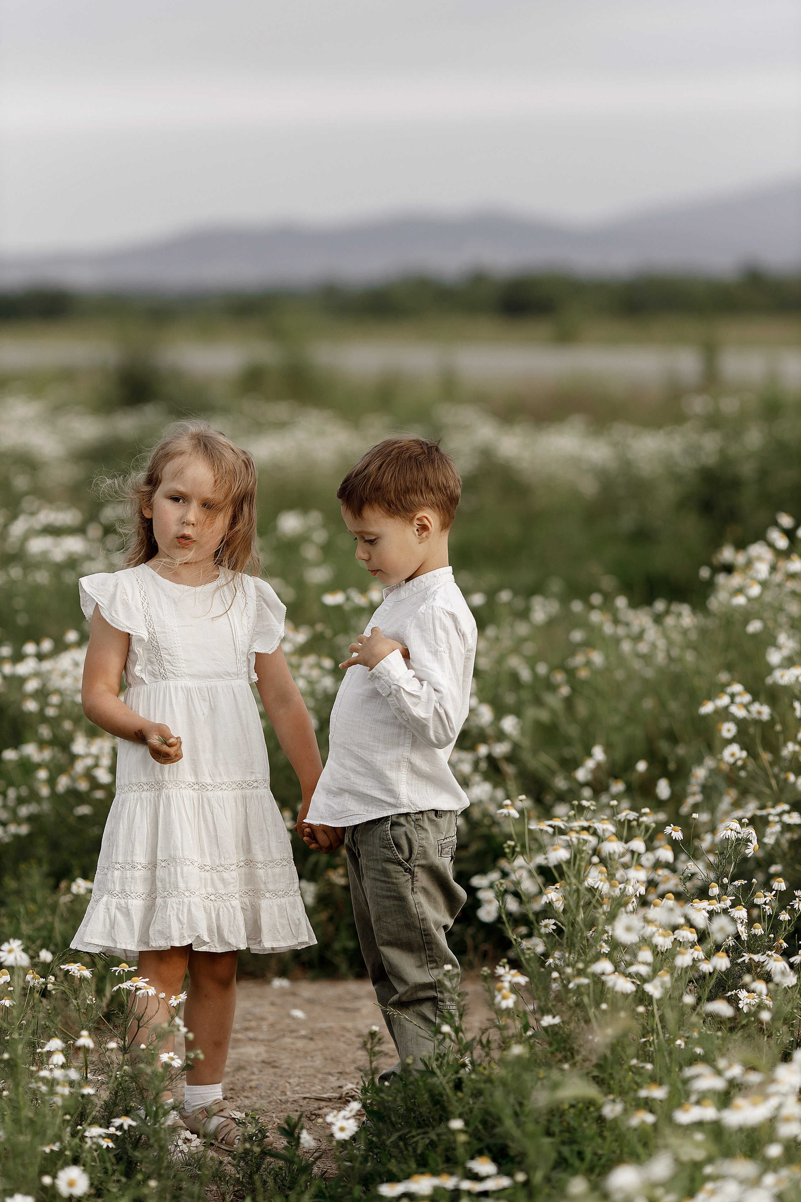 Ромашки. Свадебный и семейный фотограф  во Владивостоке Ольга Украинец