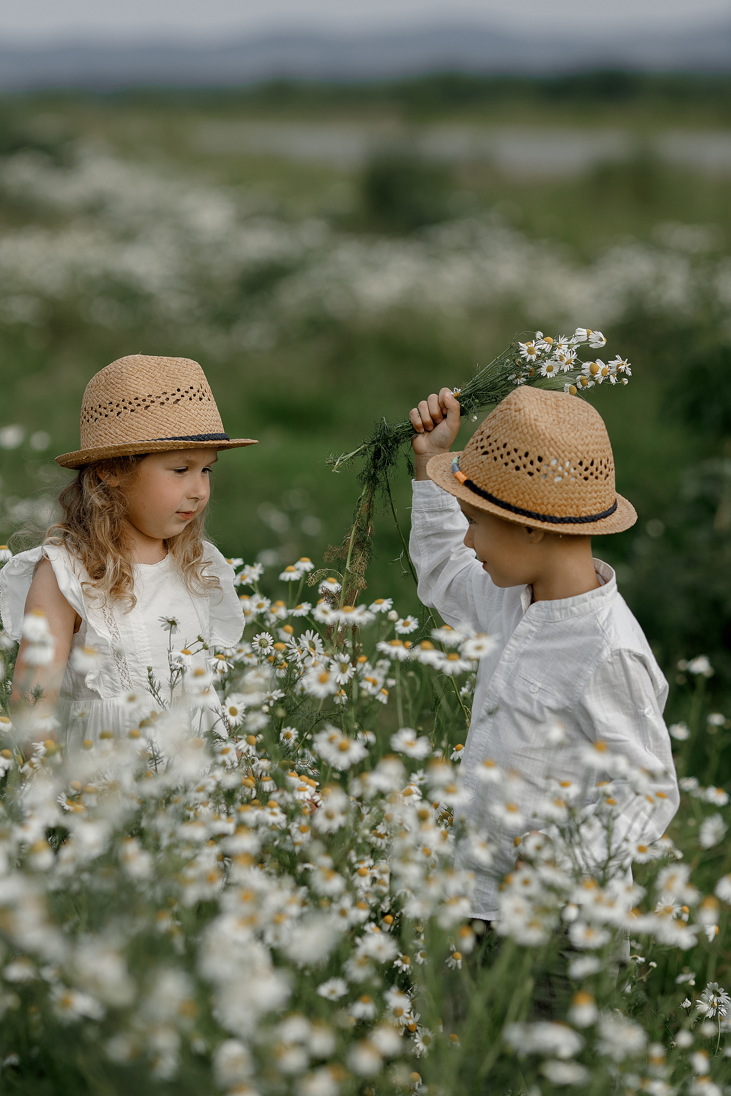 Истории. Свадебный и семейный фотограф  во Владивостоке Ольга Украинец