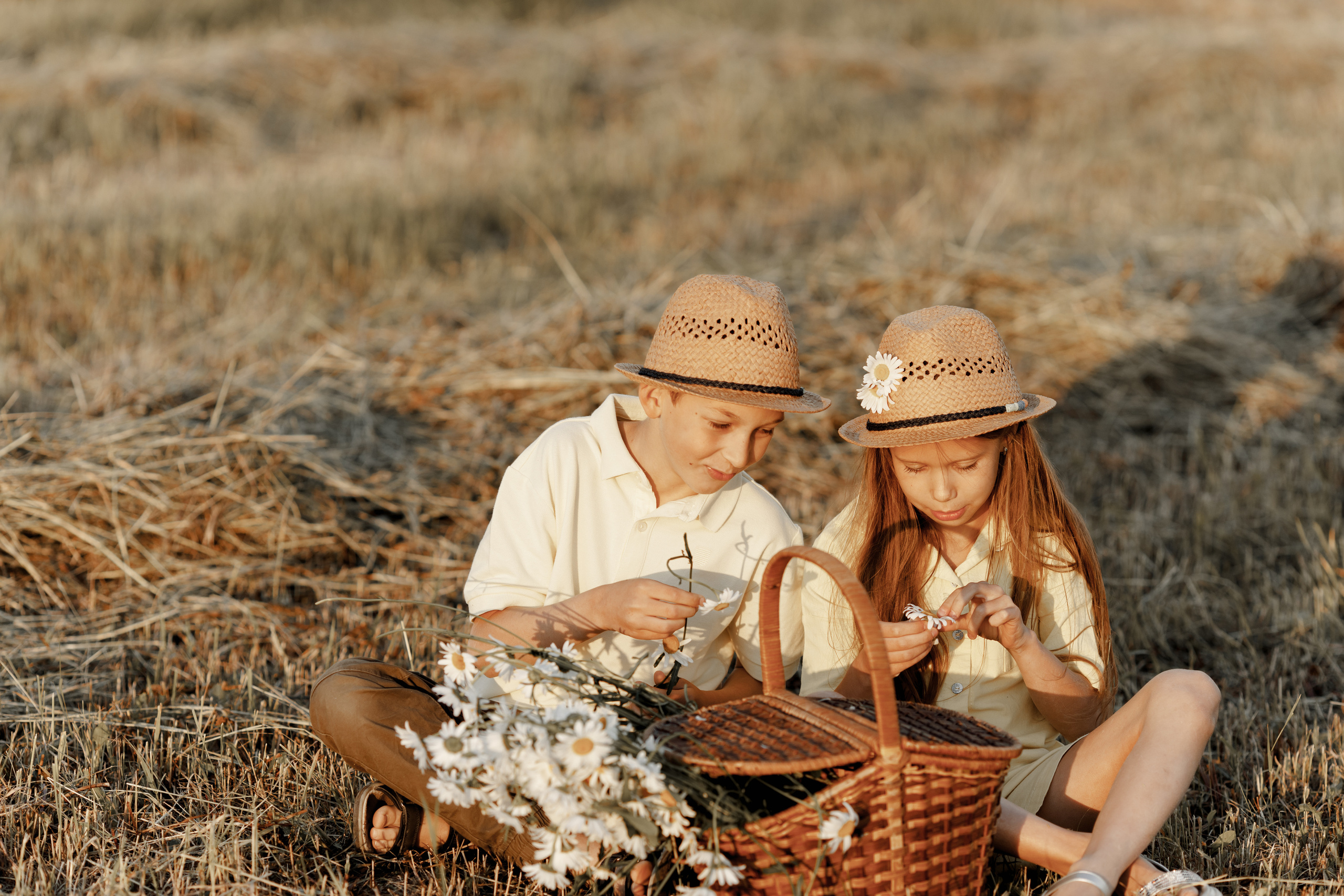 Поле закат лето. Свадебный и семейный фотограф  во Владивостоке Ольга Украинец