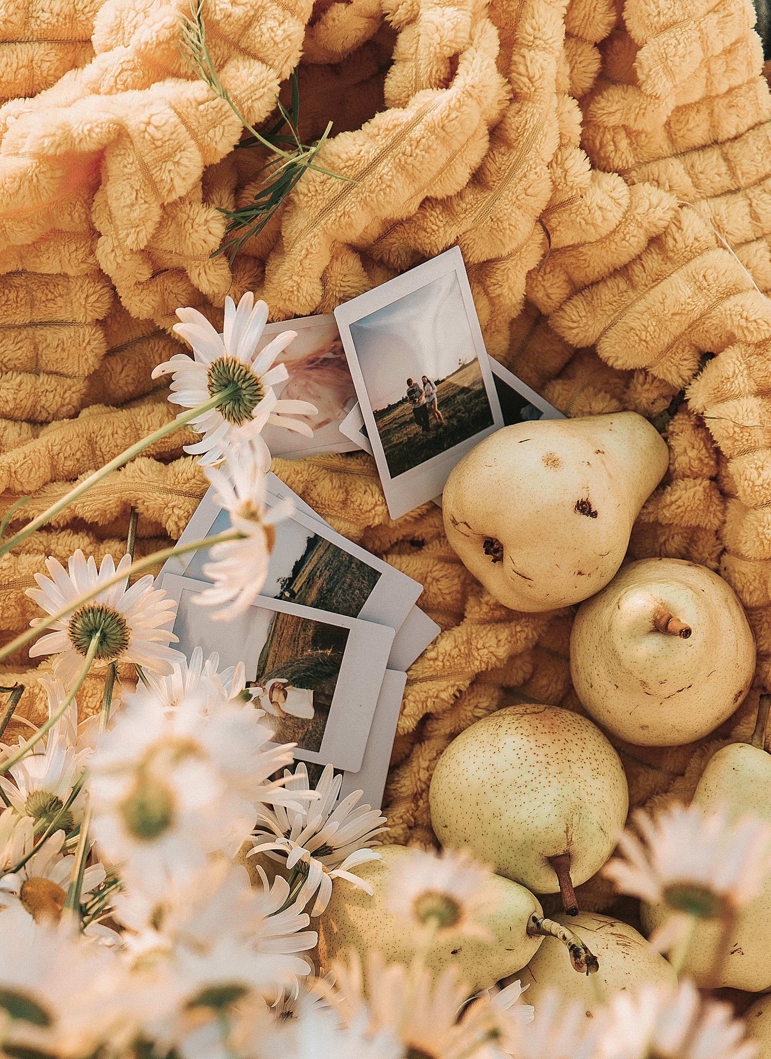Поле закат лето. Свадебный и семейный фотограф  во Владивостоке Ольга Украинец
