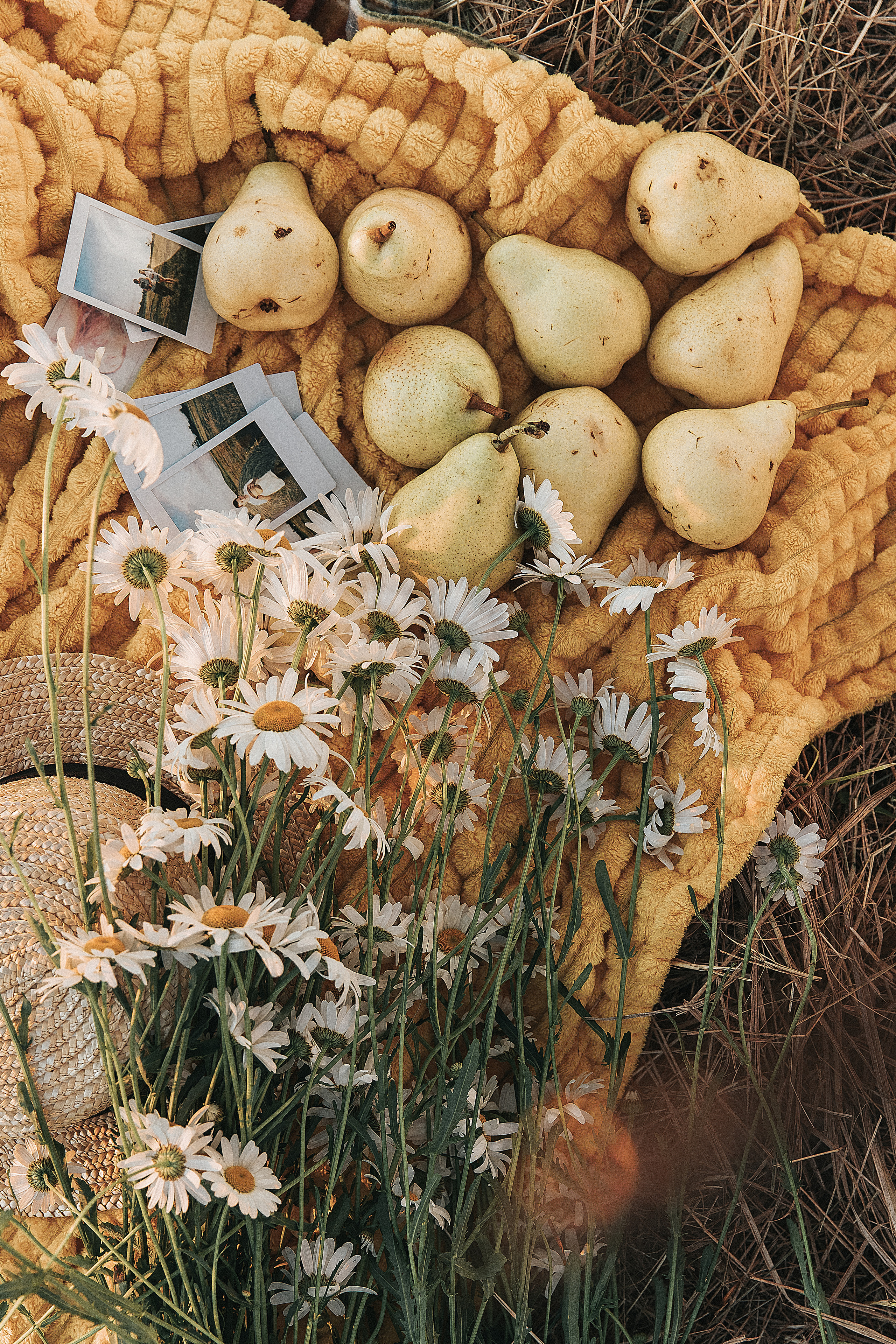 Поле закат лето. Свадебный и семейный фотограф  во Владивостоке Ольга Украинец