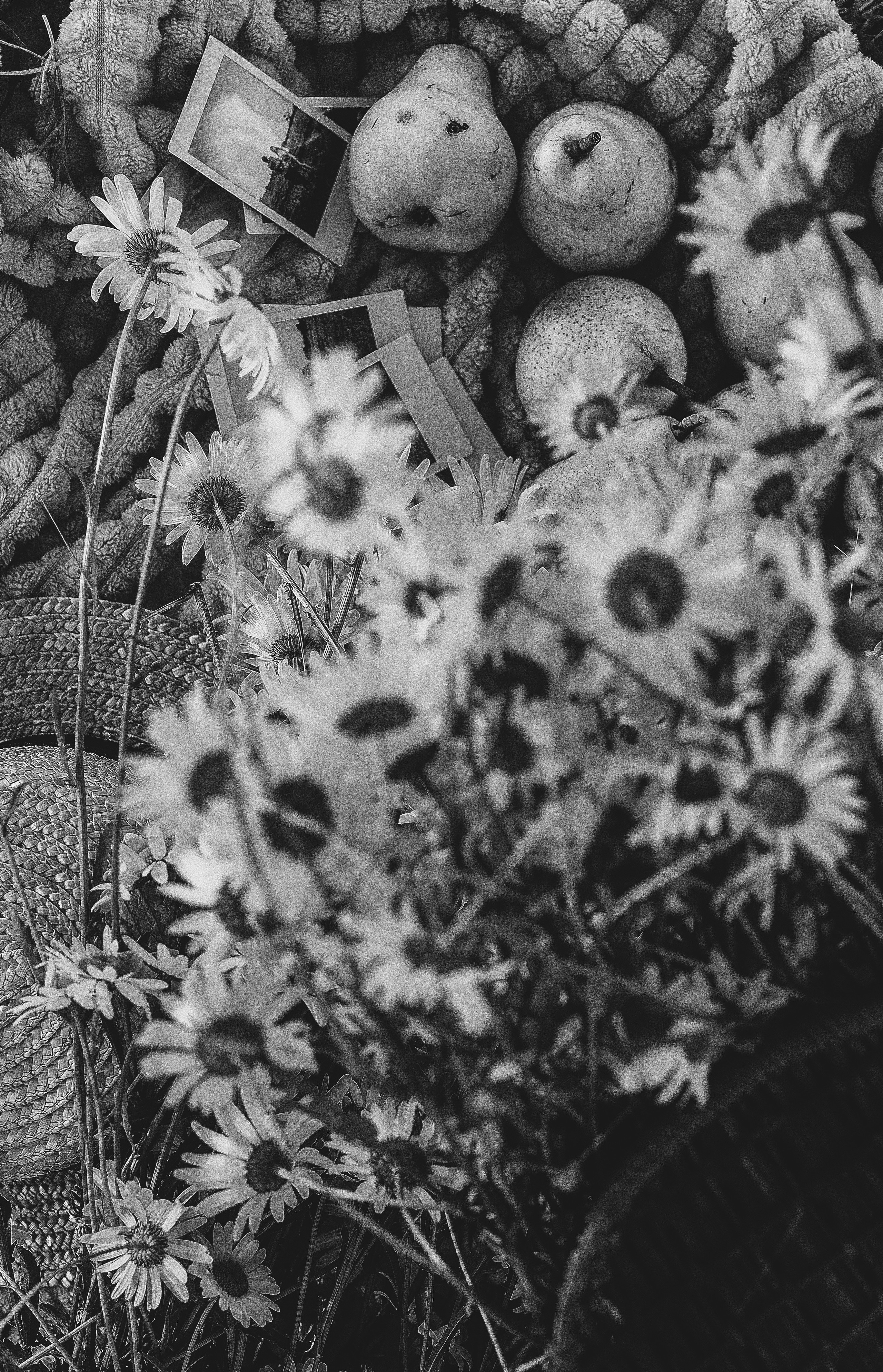 Поле закат лето. Свадебный и семейный фотограф  во Владивостоке Ольга Украинец