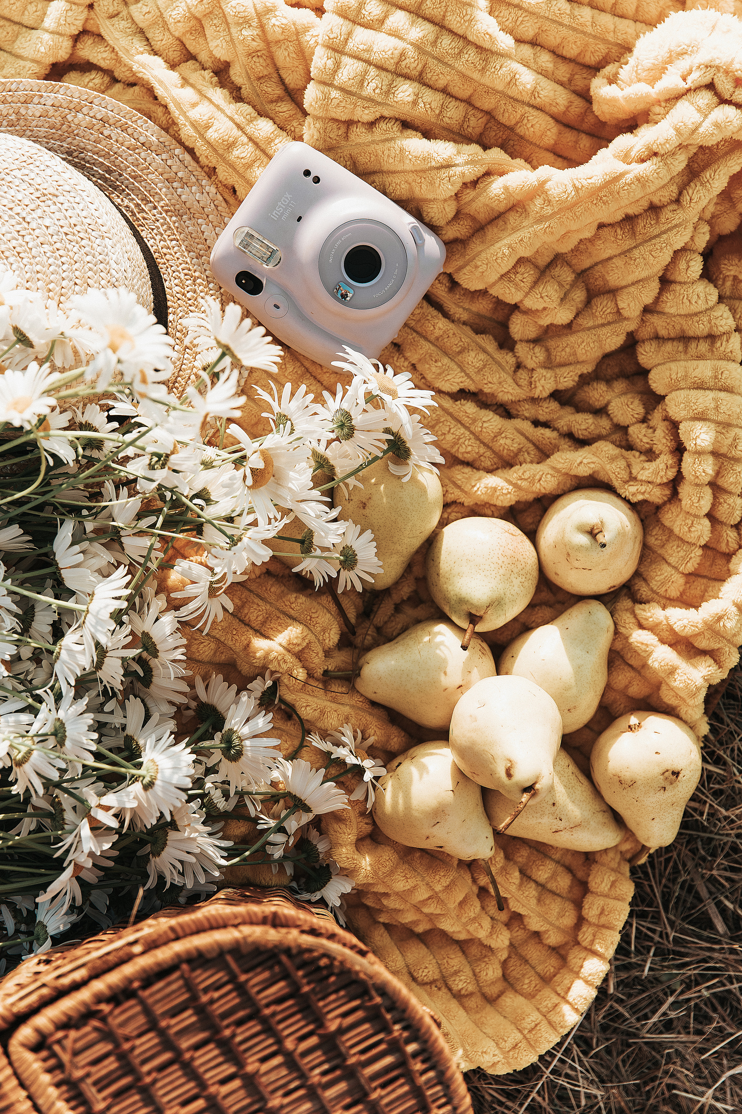Поле закат лето. Свадебный и семейный фотограф  во Владивостоке Ольга Украинец