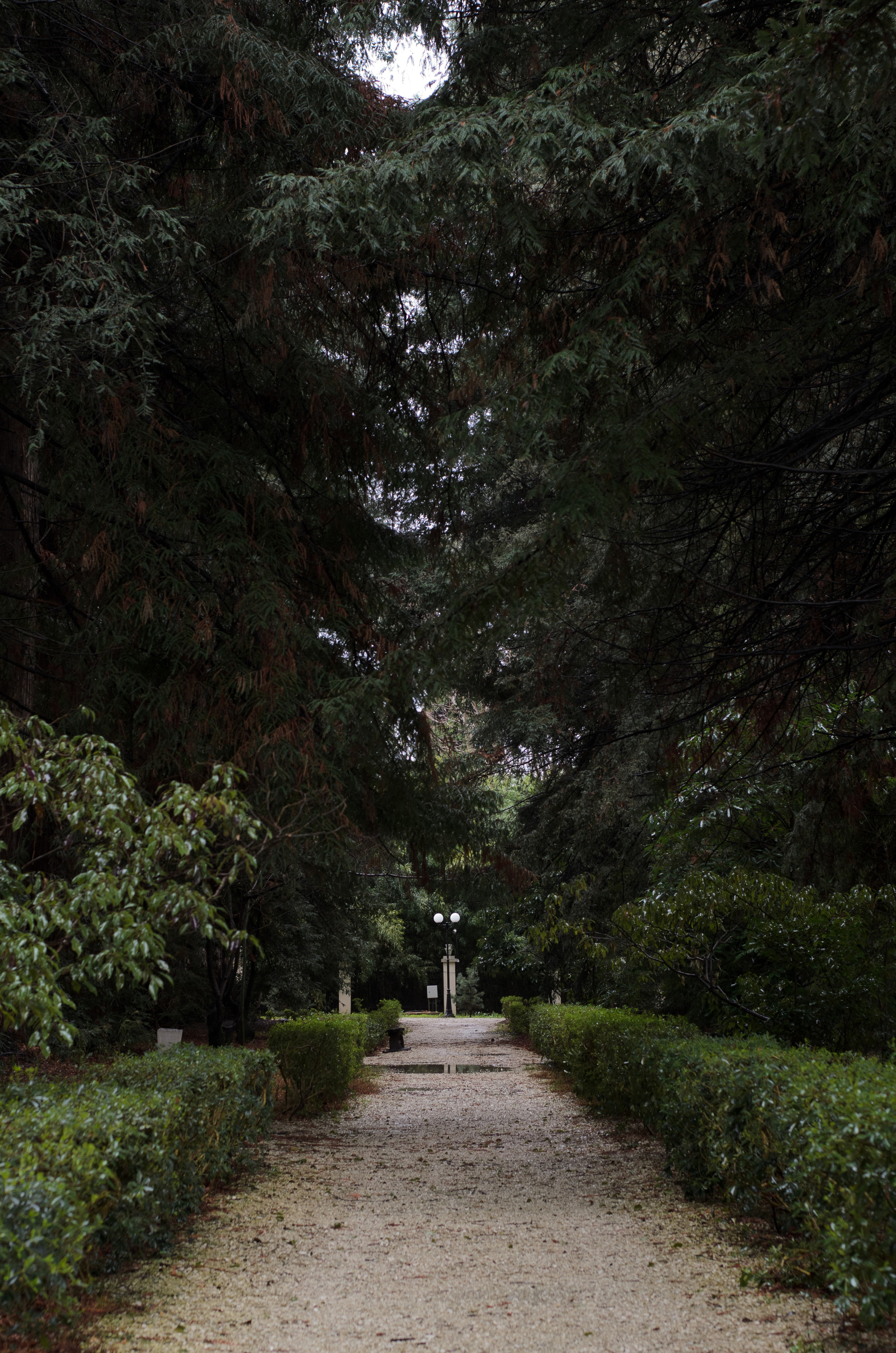 Флора, фауна, макро. Фотограф в Краснодаре Людмила Панченко