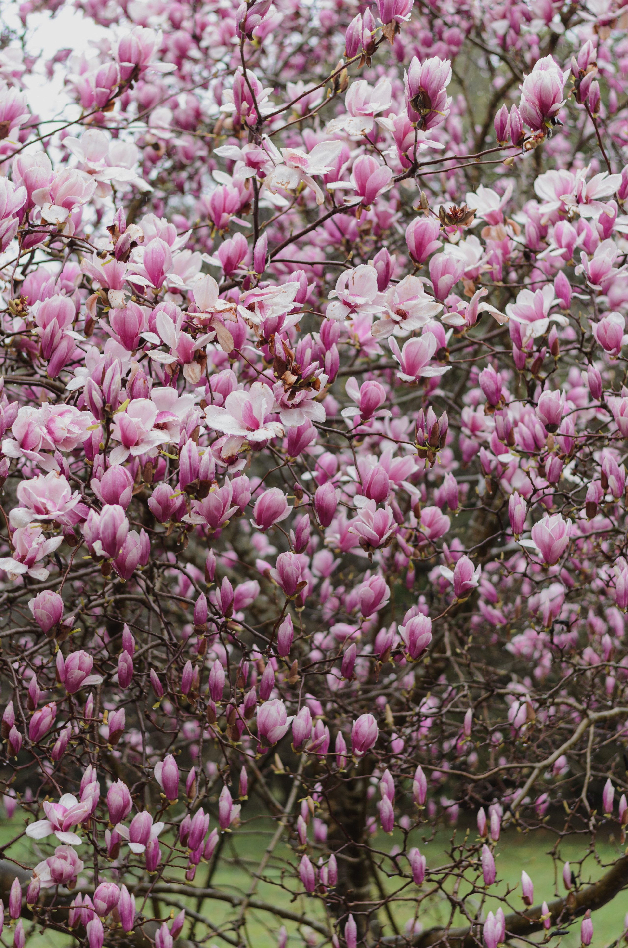 Флора, фауна, макро. Фотограф в Краснодаре Людмила Панченко