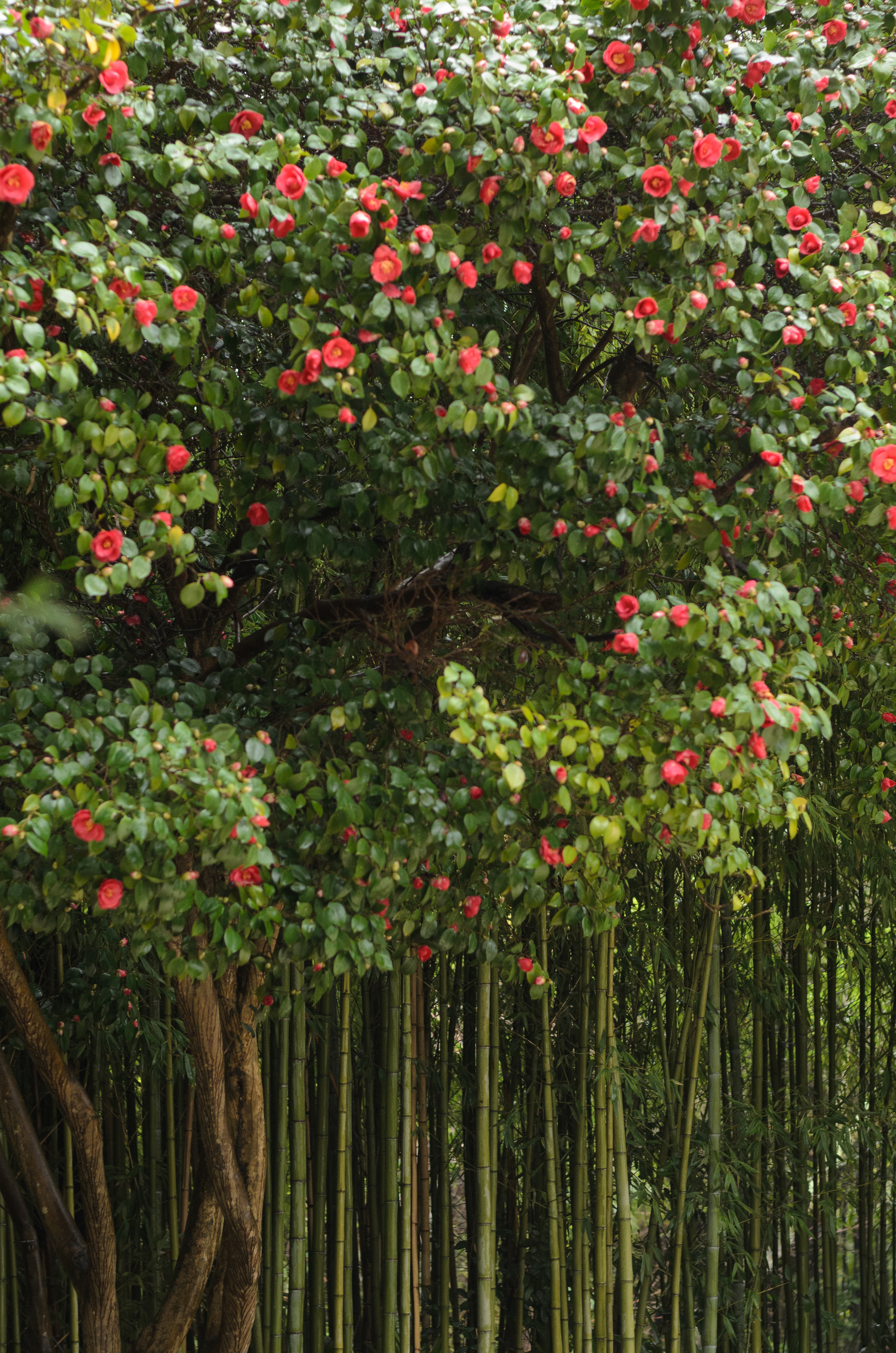 Флора, фауна, макро. Фотограф в Краснодаре Людмила Панченко