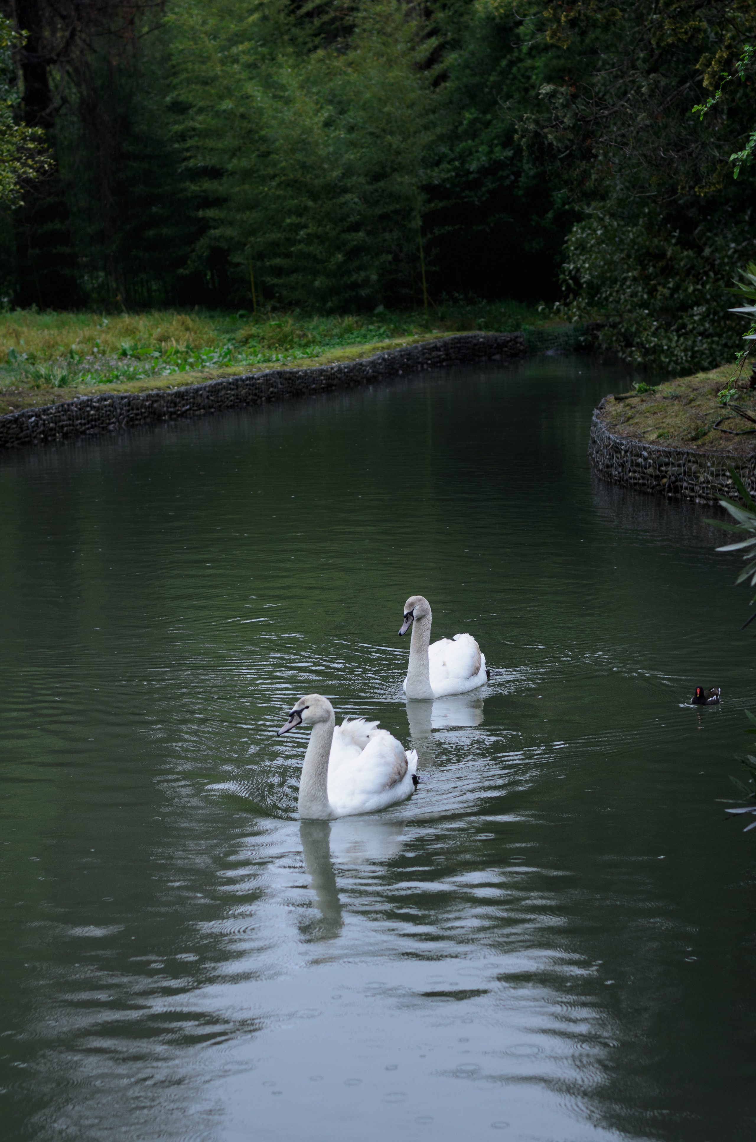 Флора, фауна, макро. Фотограф в Краснодаре Людмила Панченко