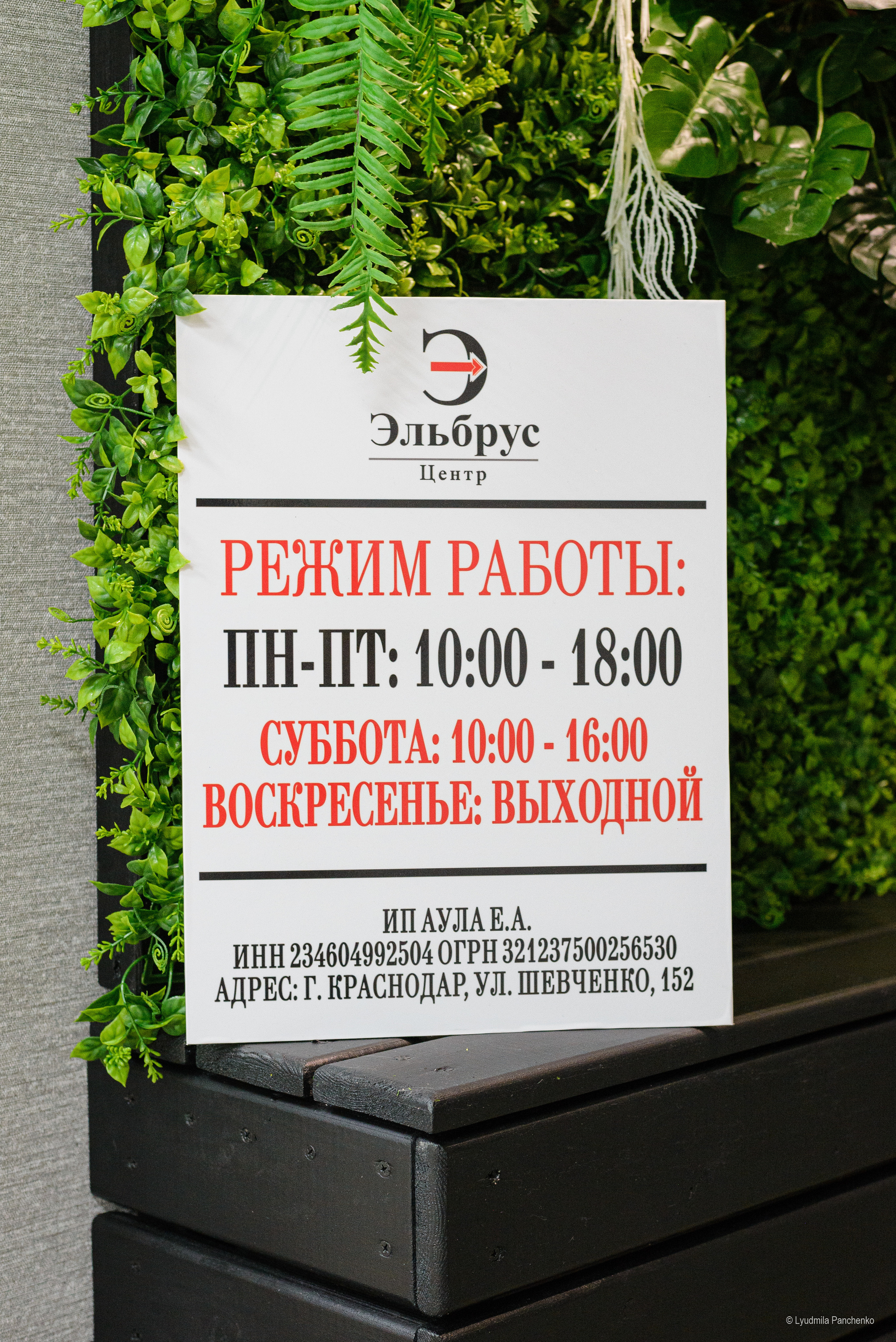 Фото для бизнеса / контента / творчества / маркетплейсы. Фотограф в Краснодаре Людмила Панченко