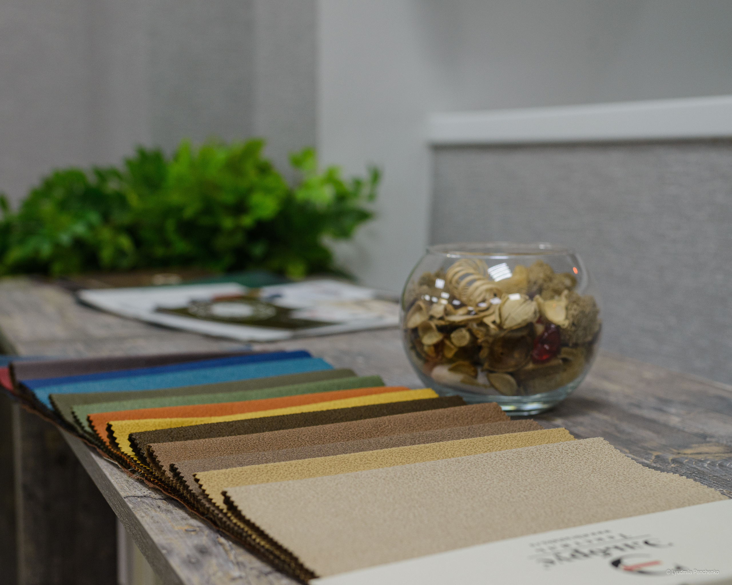 Фото для бизнеса / контента / творчества / маркетплейсы. Фотограф в Краснодаре Людмила Панченко