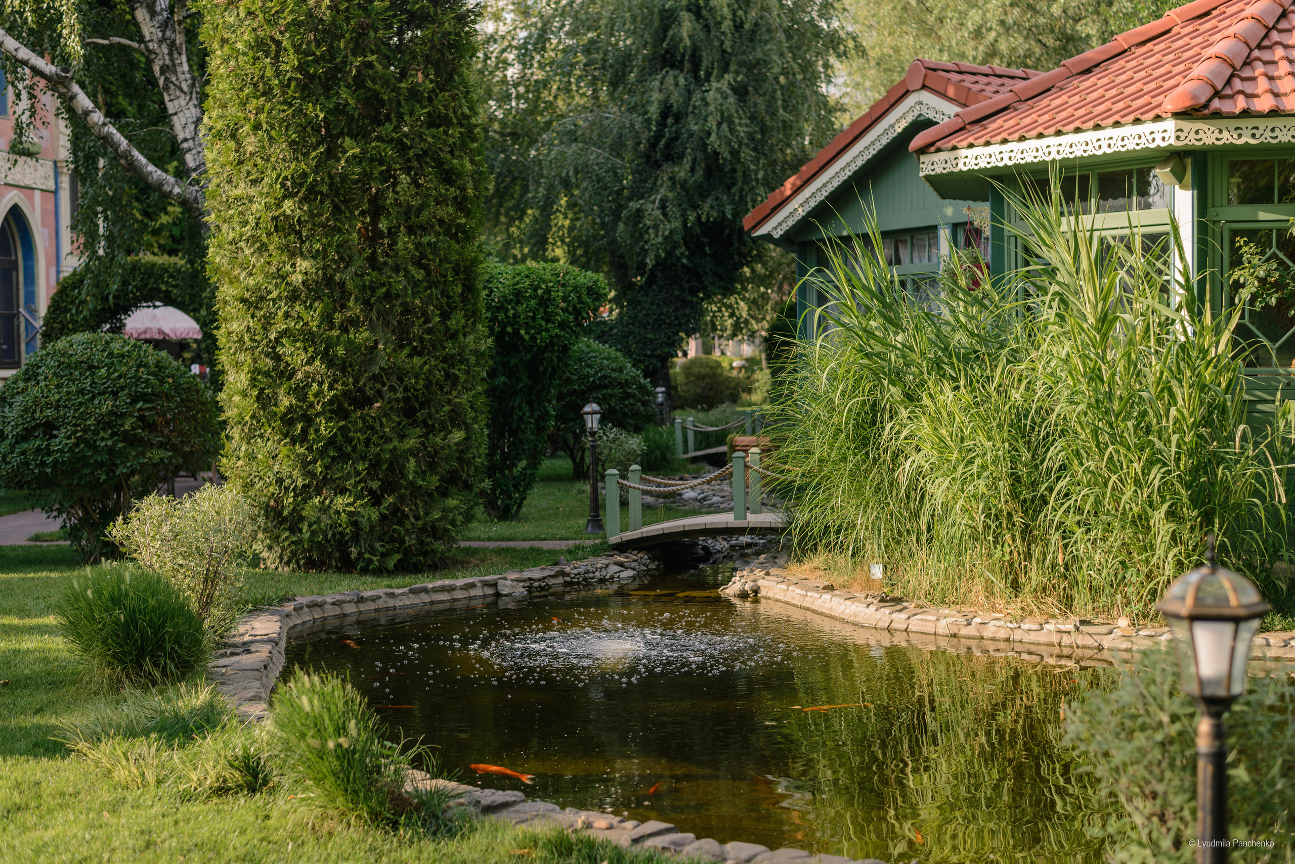 Флора, фауна, макро. Фотограф в Краснодаре Людмила Панченко