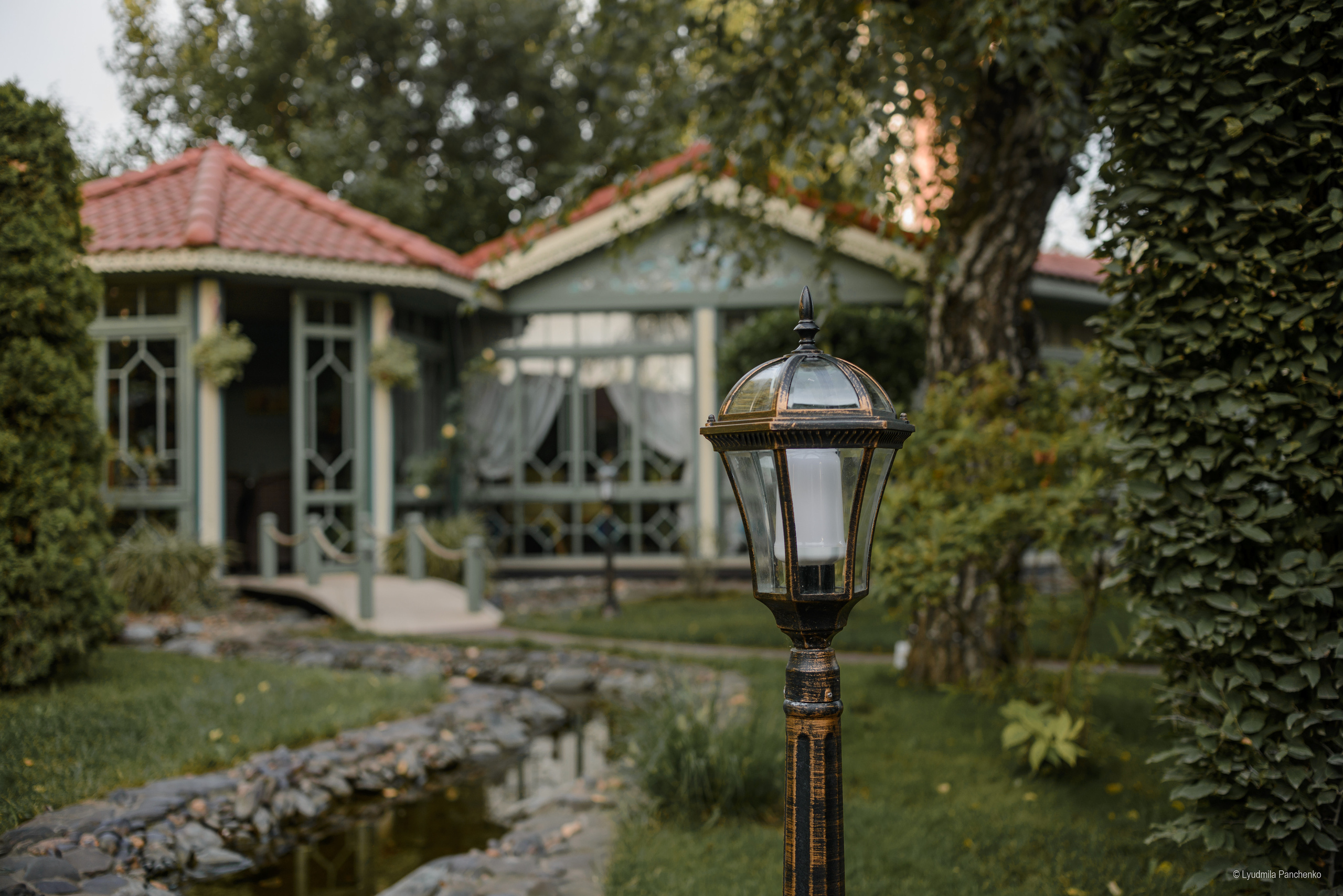 Флора, фауна, макро. Фотограф в Краснодаре Людмила Панченко