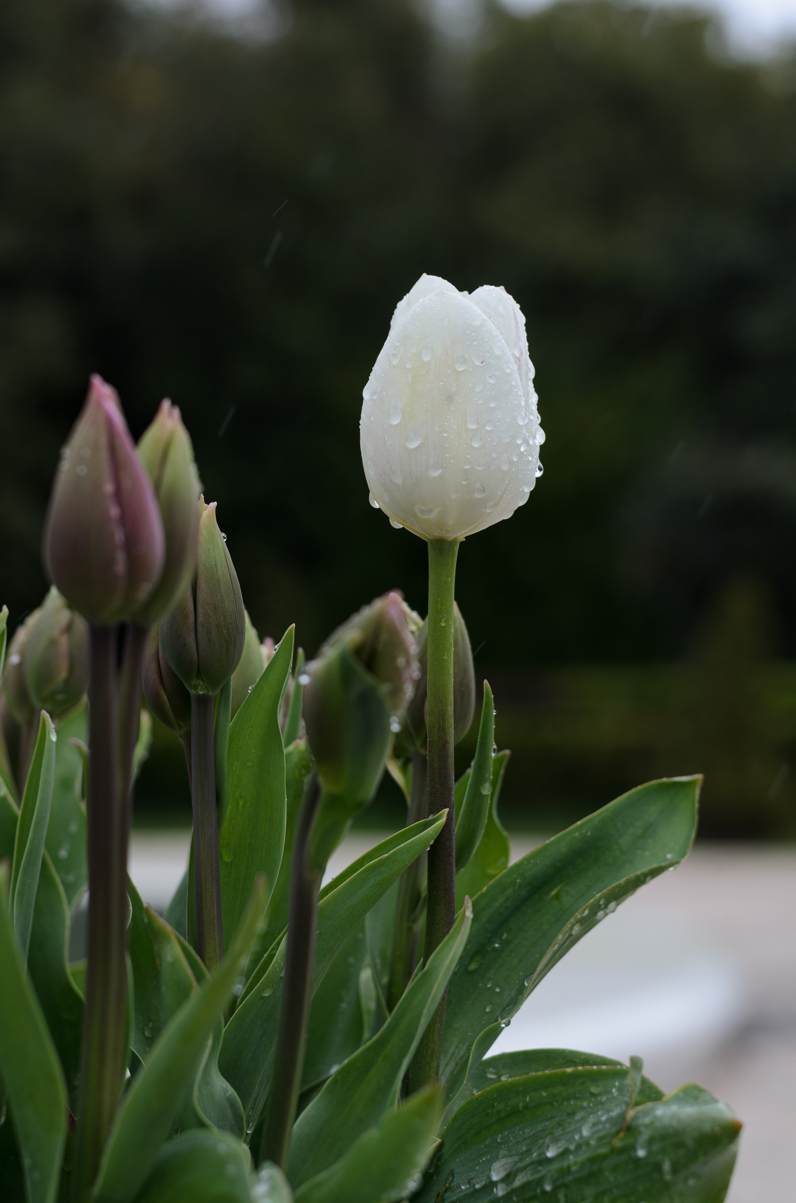 Флора, фауна, макро. Фотограф в Краснодаре Людмила Панченко
