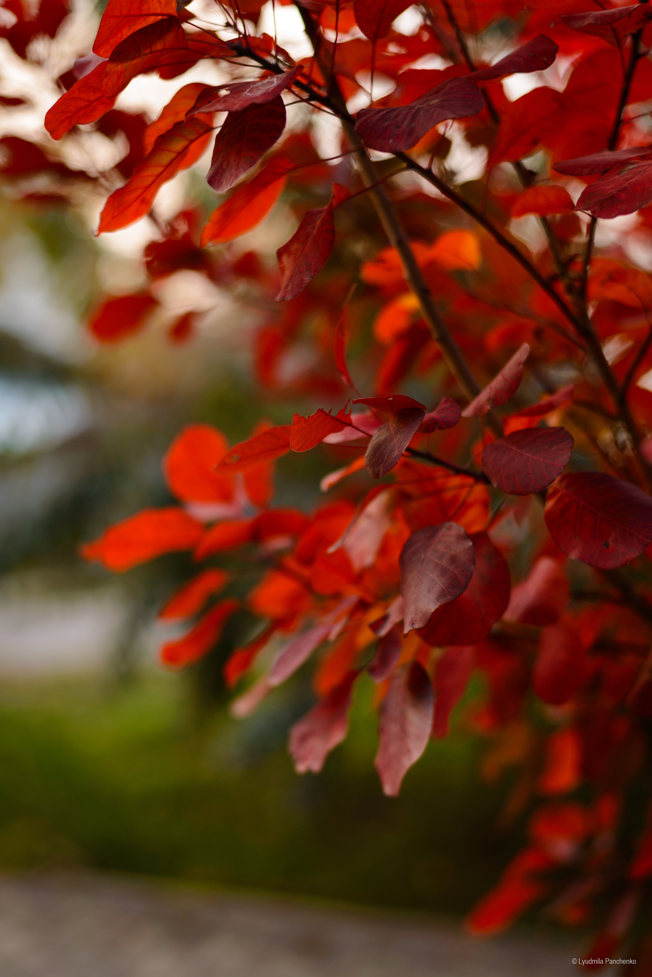 Флора, фауна, макро. Фотограф в Краснодаре Людмила Панченко