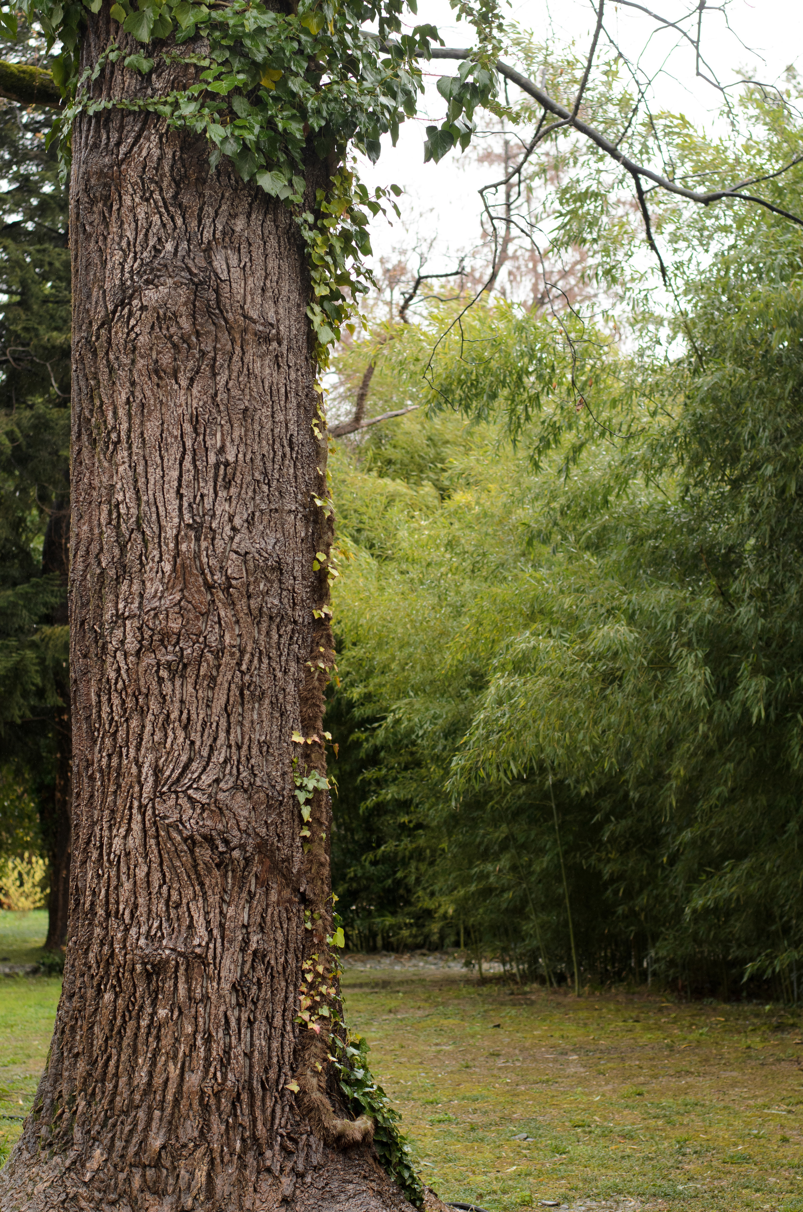 Флора, фауна, макро. Фотограф в Краснодаре Людмила Панченко
