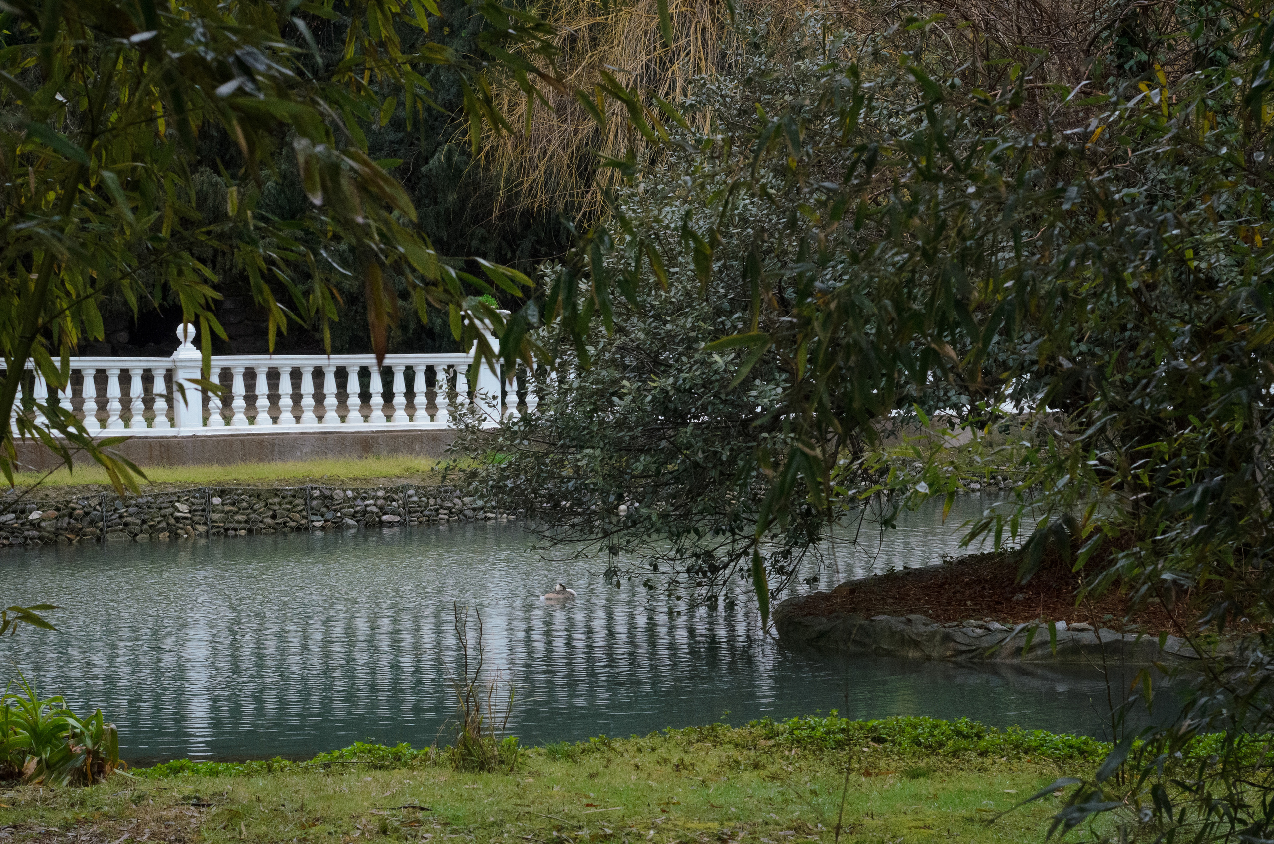 Флора, фауна, макро. Фотограф в Краснодаре Людмила Панченко