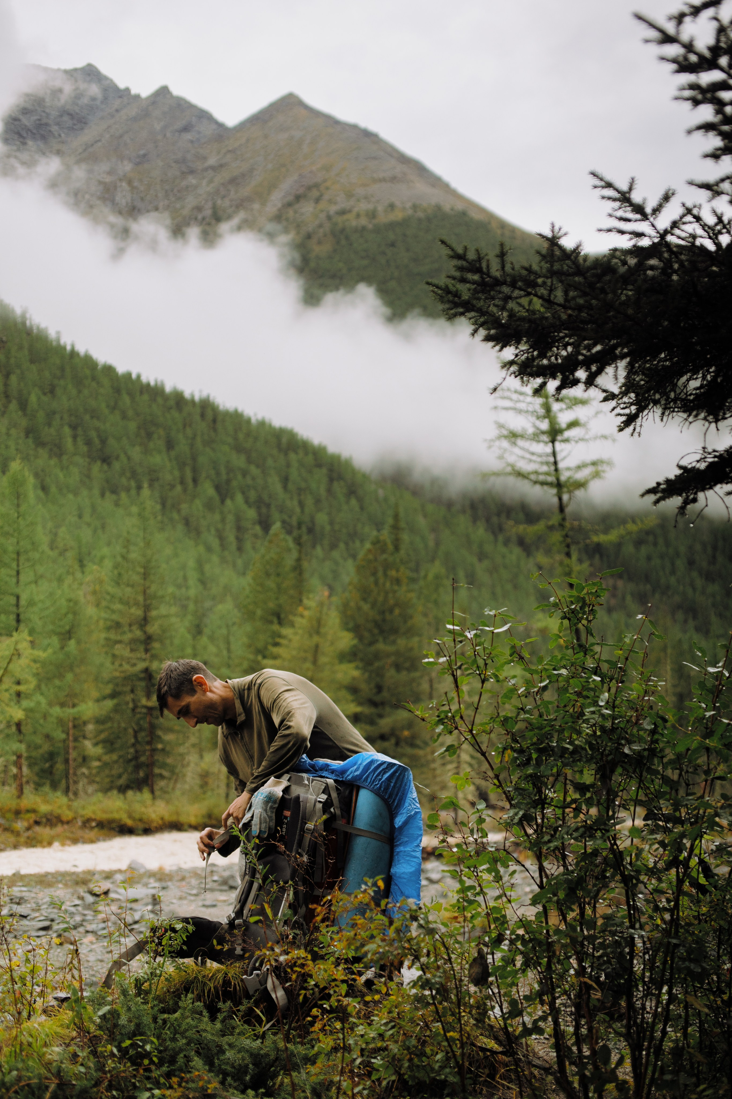 Шавлинские. Главная