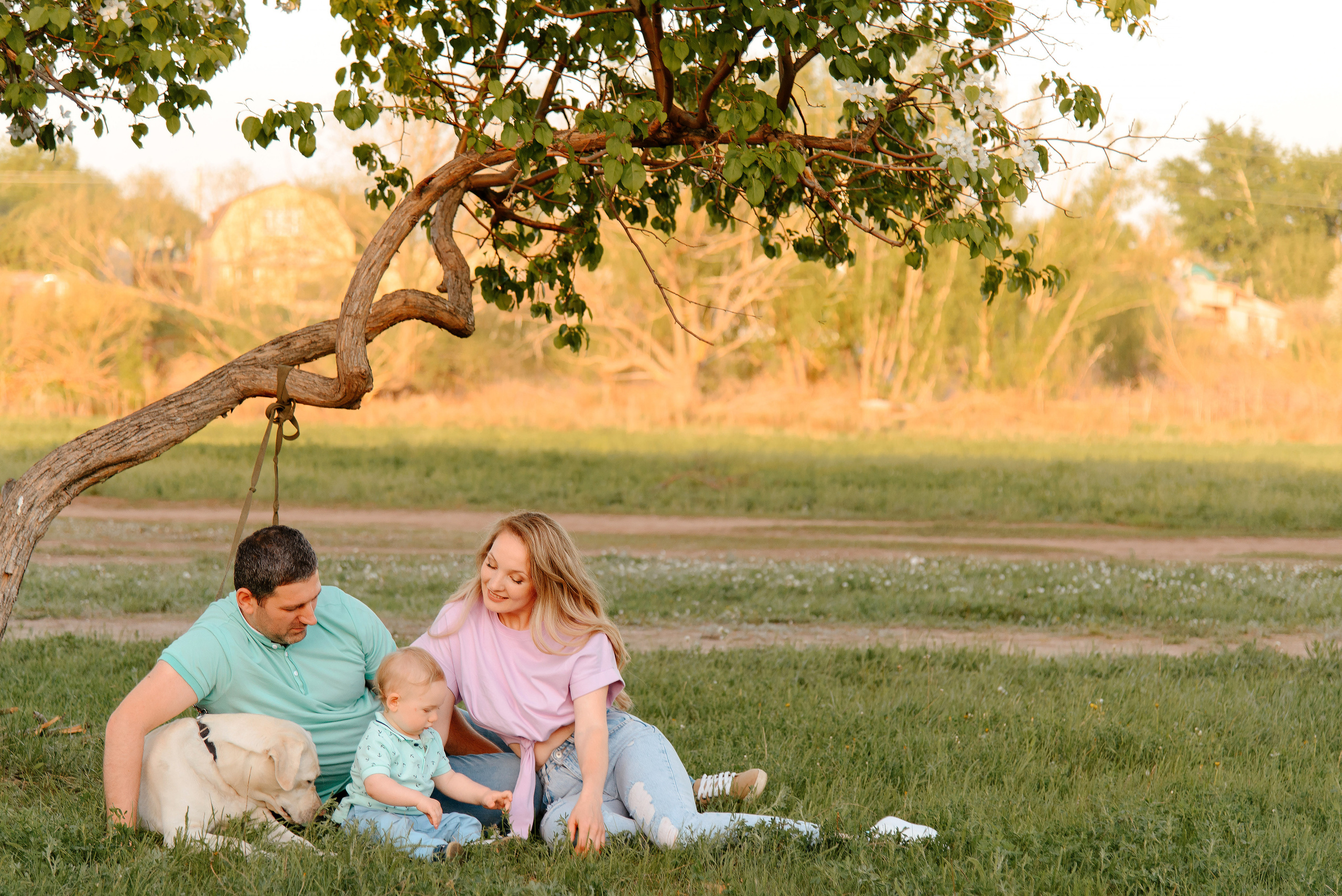Семейная фотосессия в яблоневом саду. Свадебный фотограф Караганда