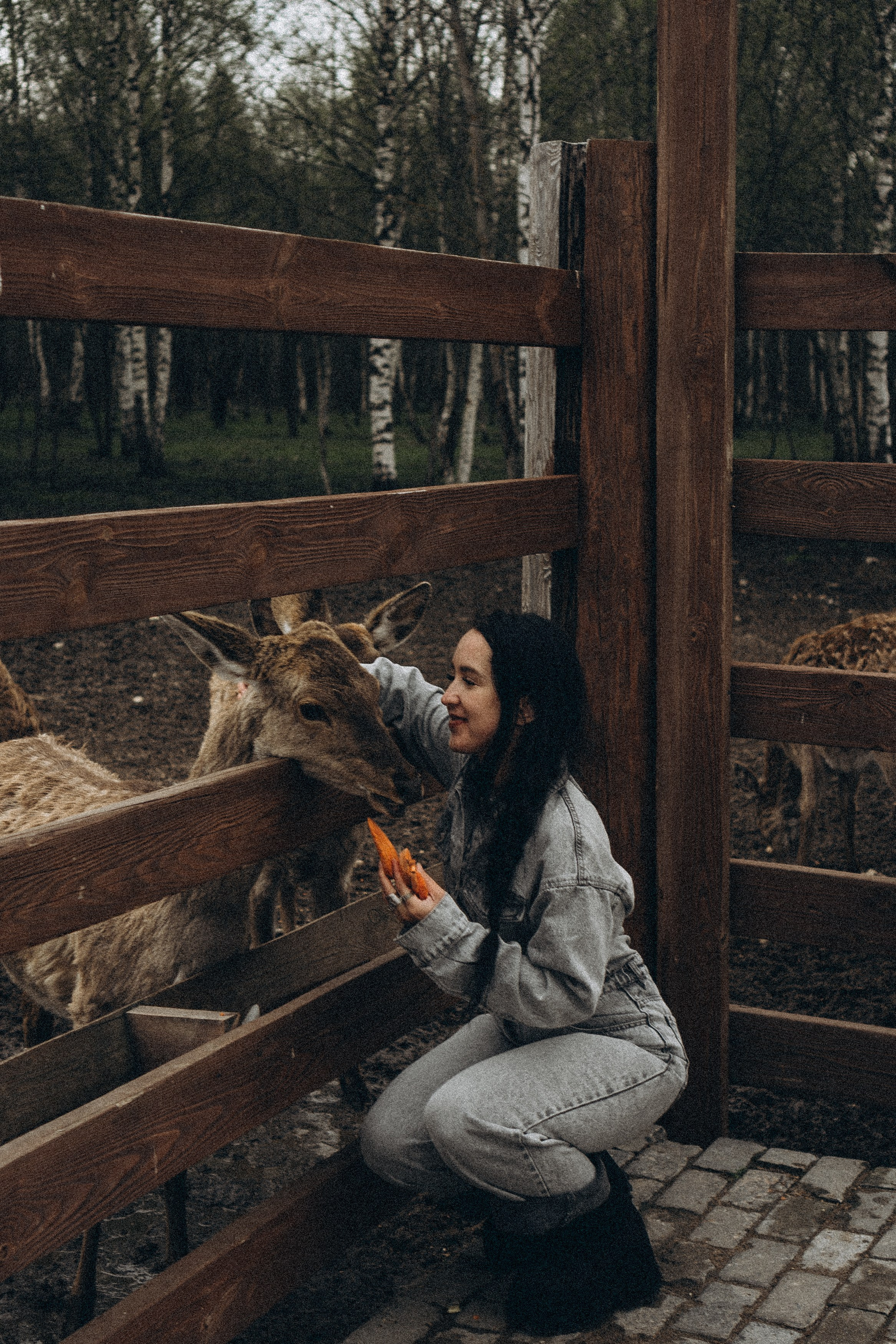 ОЛЕНЬЯ ФЕРМА В ТВЕРИ. Профессиональный фотограф, Санкт-Петербург — Виктория Богомолова