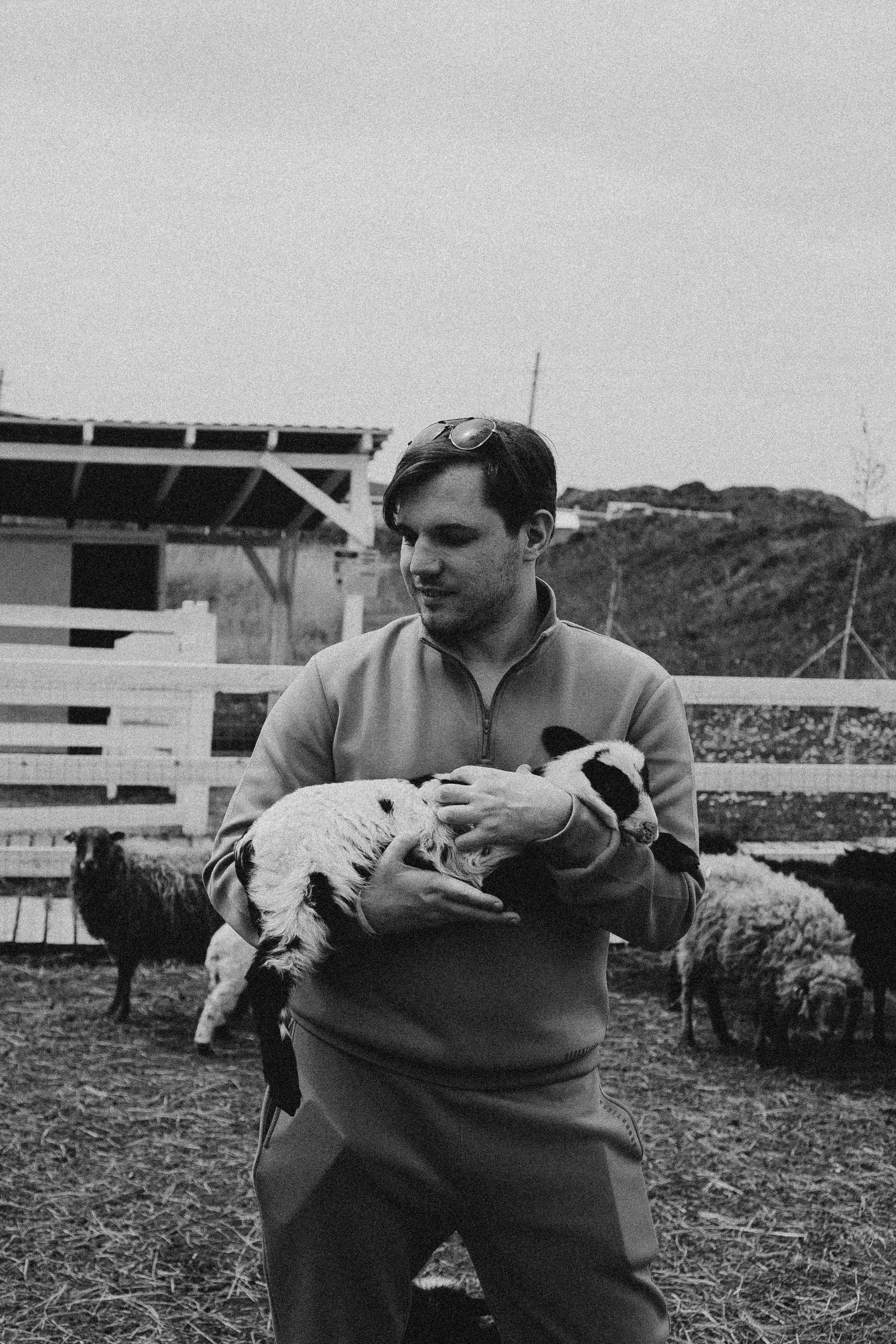 Ферма Альпак. Профессиональный фотограф, Санкт-Петербург — Виктория Богомолова