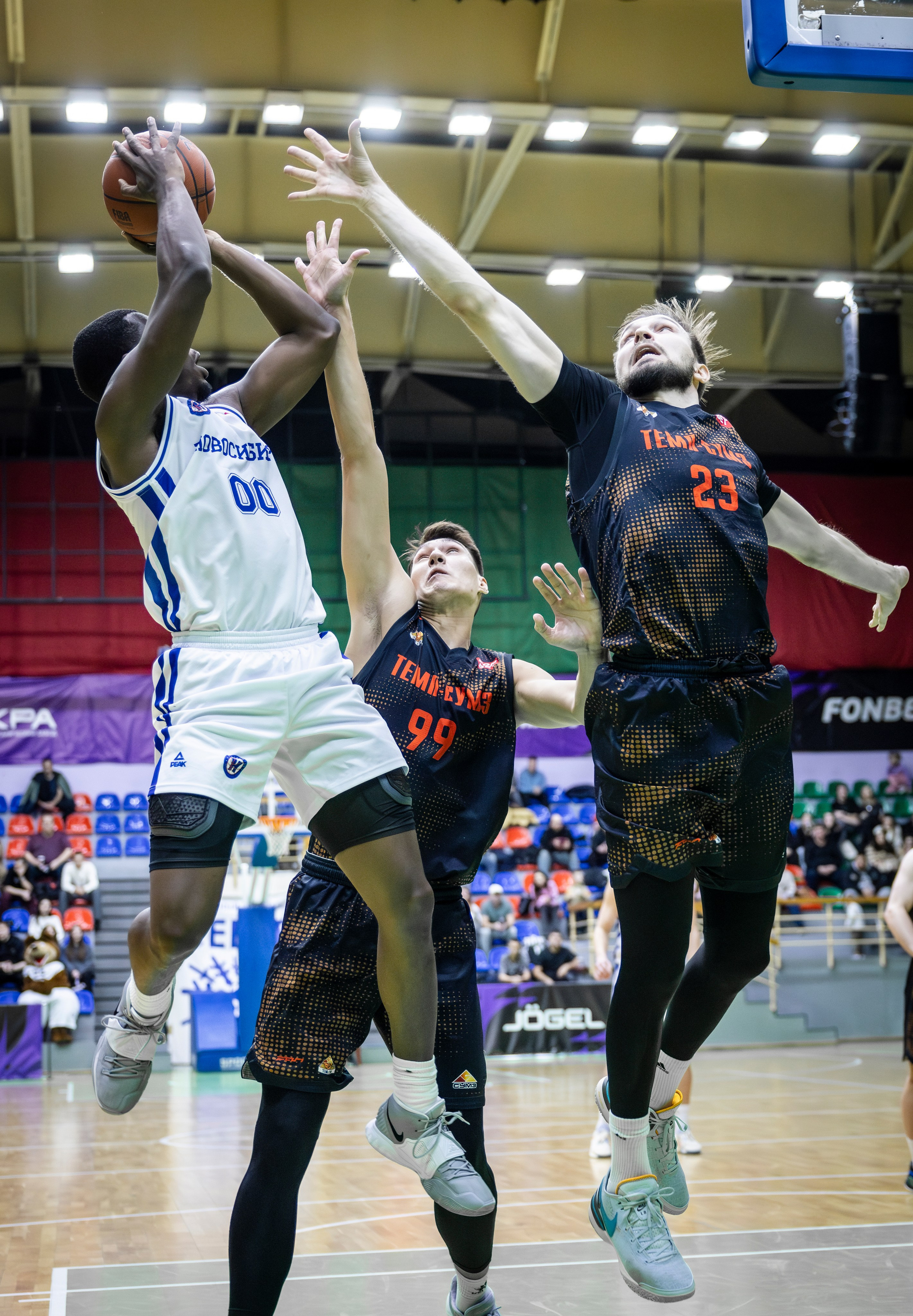 БК Новосибирск. Bertran Ordo