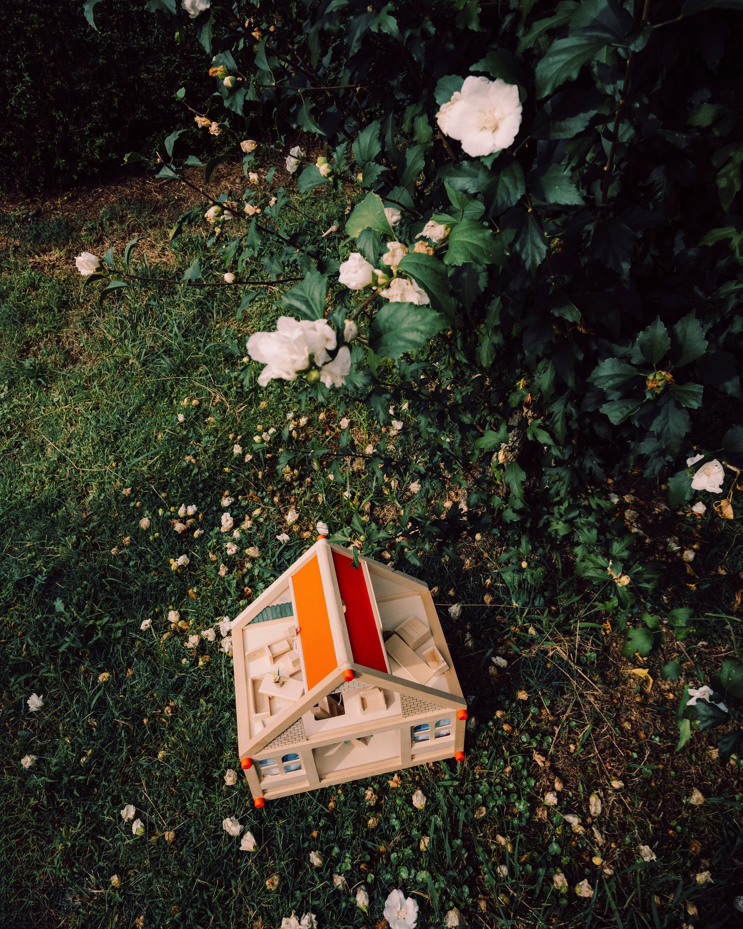 NATASHA | SKATE PARK. Photographer Barcelona