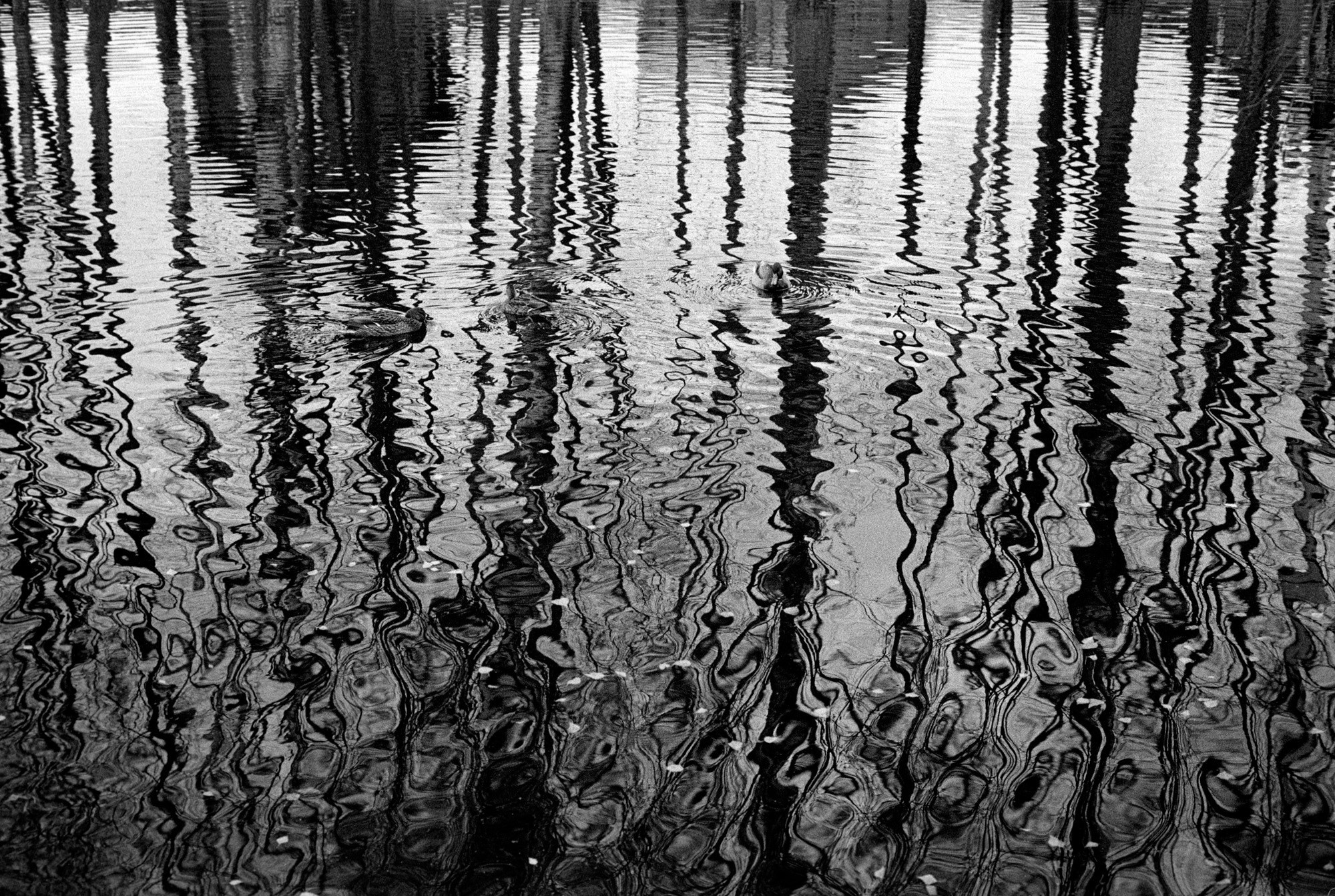 Кострома Blues. Документальный фотограф Алексей Мякишев, Москва