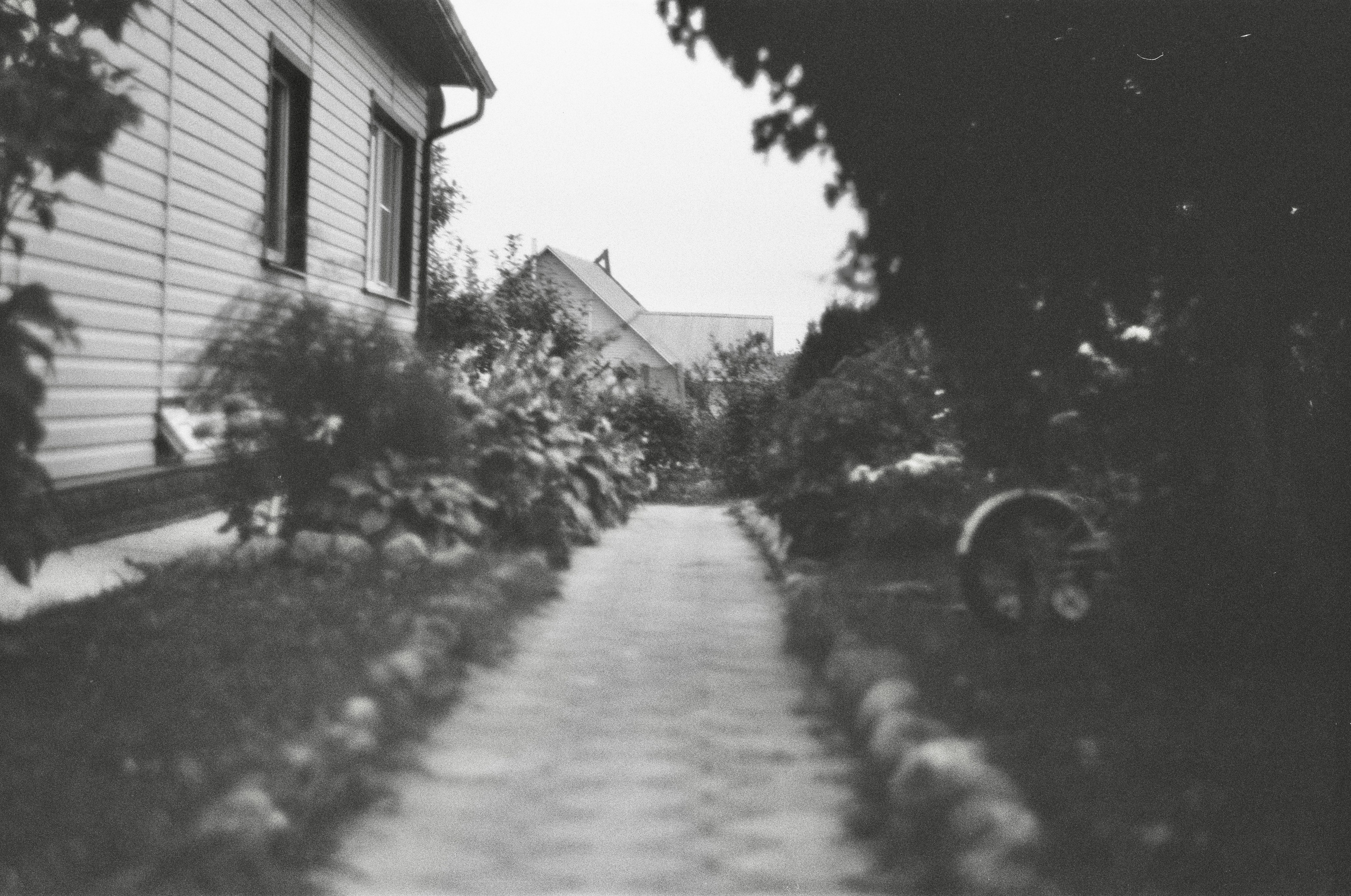 Чб пленка. Событийный фотограф в Москве Юлия Папиянц