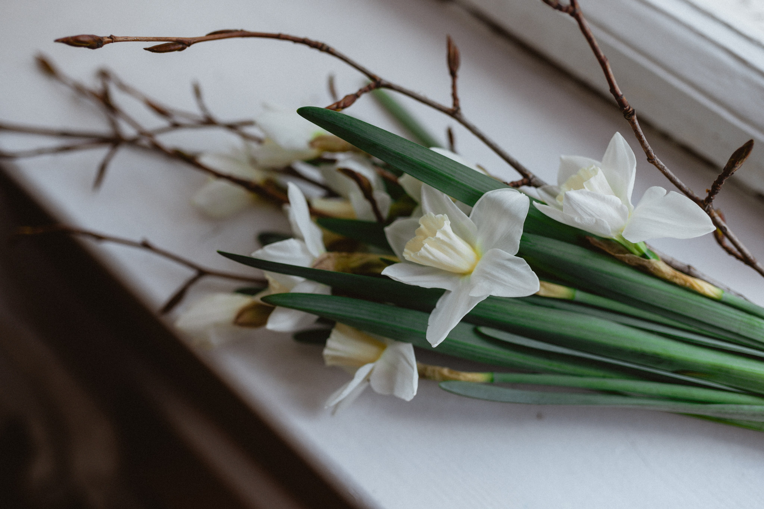 Эрнест & Аня. Оформление свадеб, декор свадеб Вера Маркова, Москва